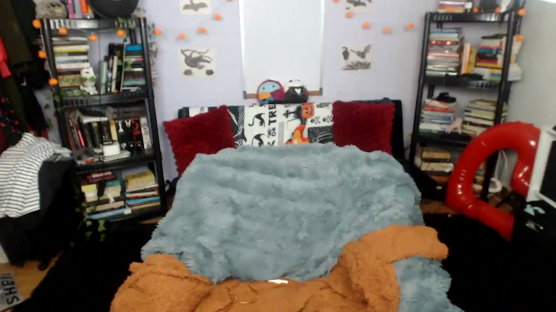 Gallery image thumbnail from AxeHallow's myfreecams stream on, 08/20/2025, 03:29 image 6 of 20