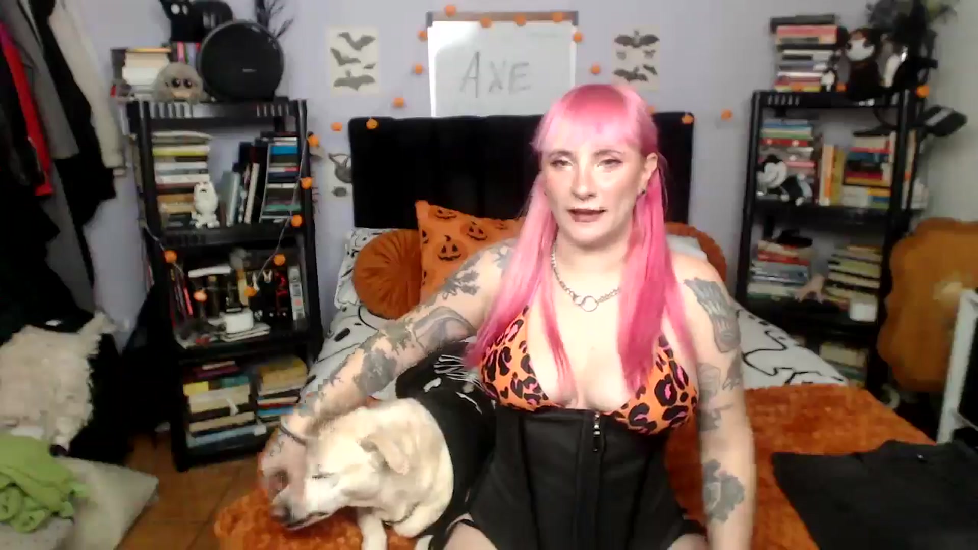 Gallery image thumbnail from AxeHallow's myfreecams stream on, 09/21/2025, 20:55 image 18 of 20