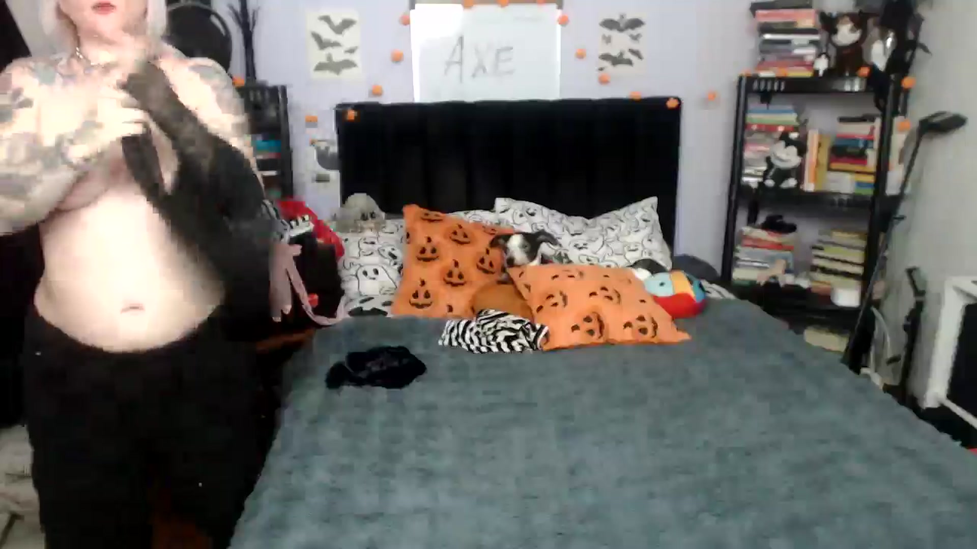 Gallery image thumbnail from AxeHallow's myfreecams stream on, 01/15/2026, 02:35 image 5 of 20