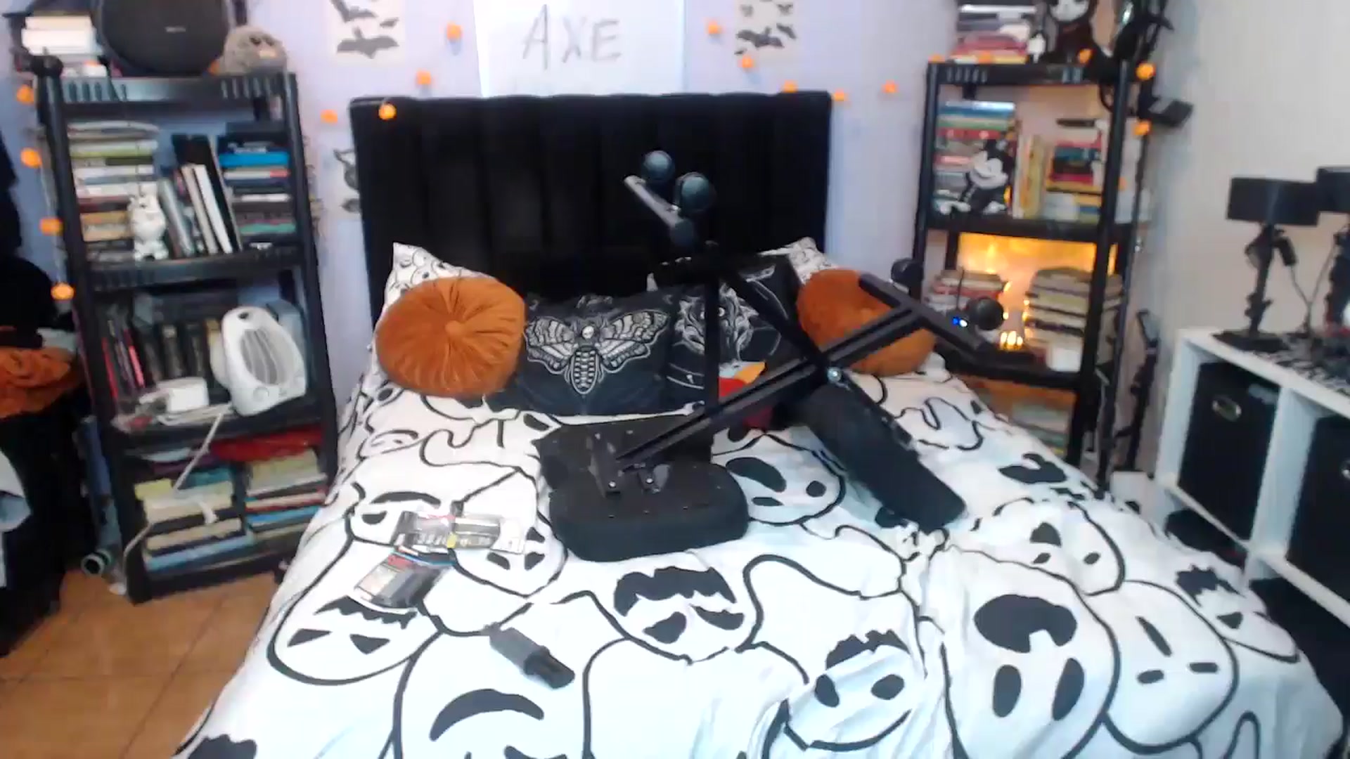 Gallery image thumbnail from AxeHallow's myfreecams stream on, 03/13/2026, 24:11 image 1 of 20