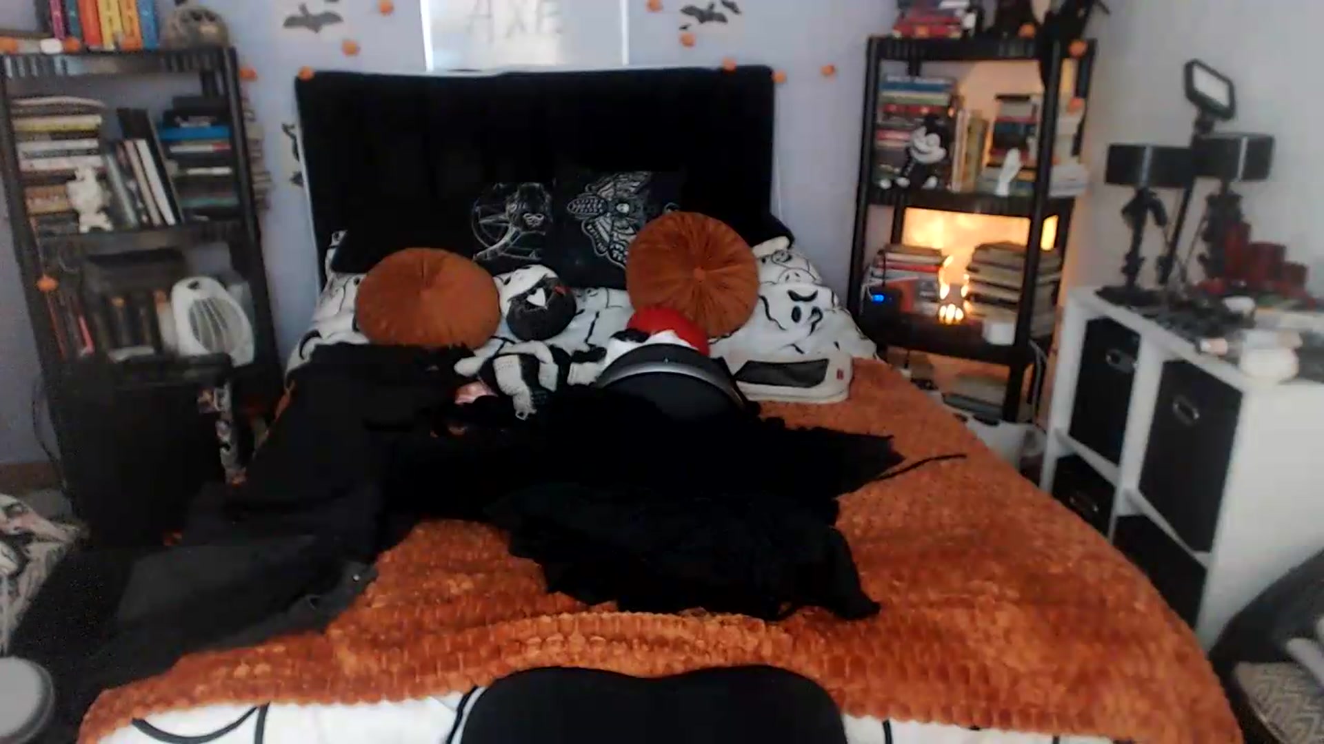 Gallery image thumbnail from AxeHallow's myfreecams stream on, 05/02/2026, 03:53 image 14 of 20