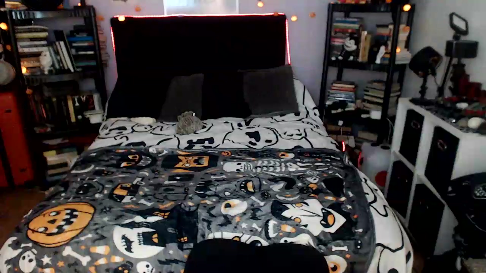 Gallery image thumbnail from AxeHallow's myfreecams stream on, 07/24/2026, 24:03 image 11 of 20