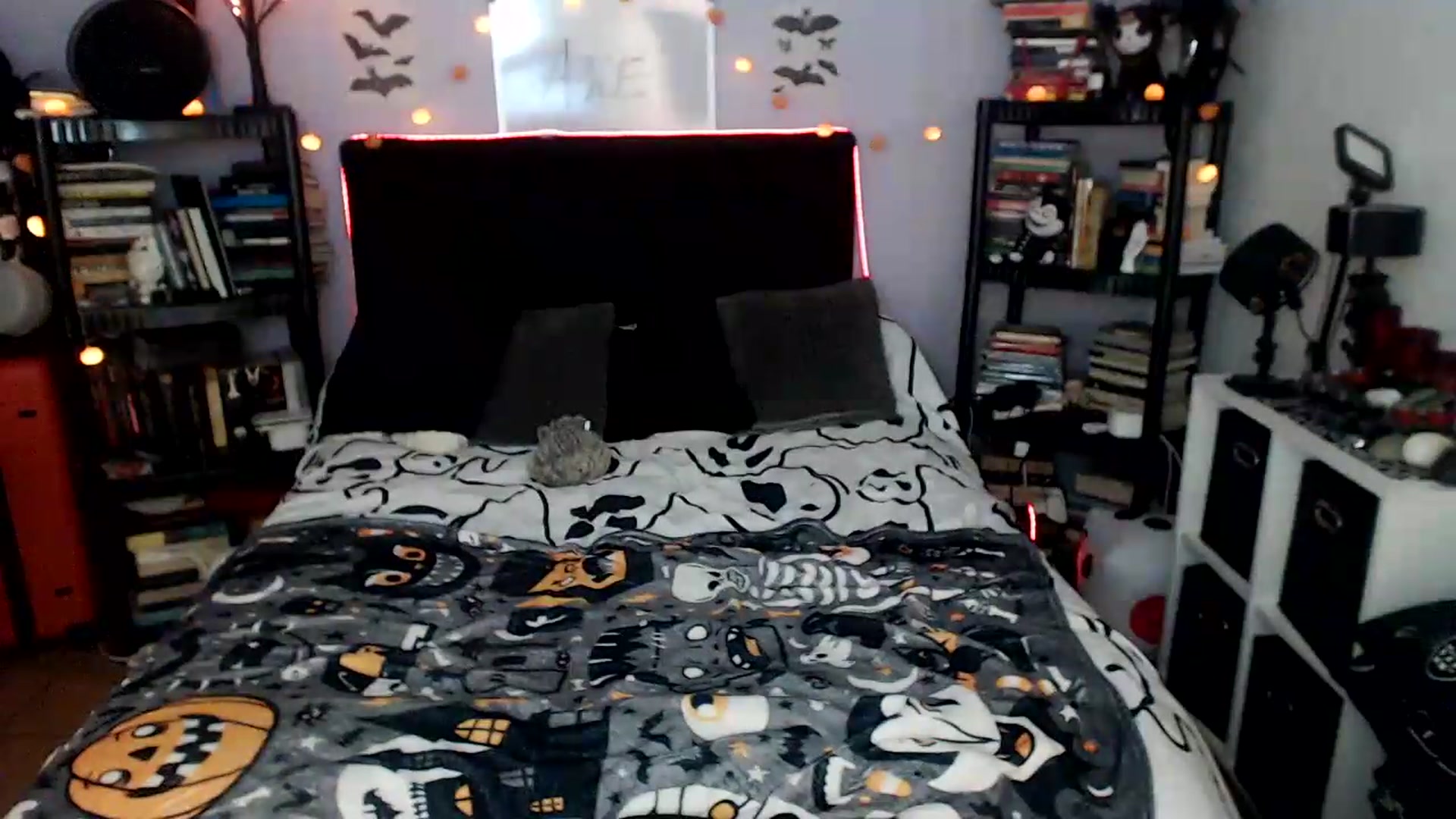 Gallery image thumbnail from AxeHallow's myfreecams stream on, 07/24/2026, 24:03 image 15 of 20