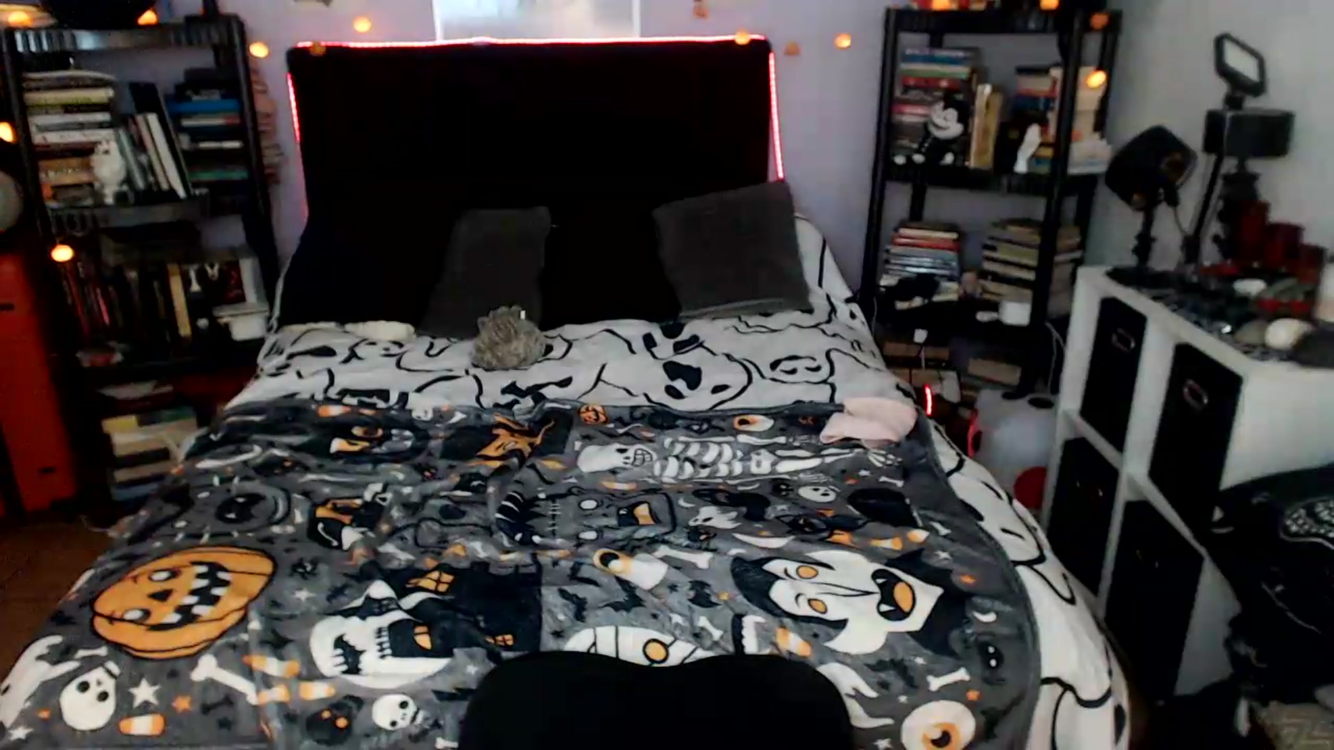 Gallery image thumbnail from AxeHallow's myfreecams stream on, 07/24/2026, 05:11 image 18 of 20