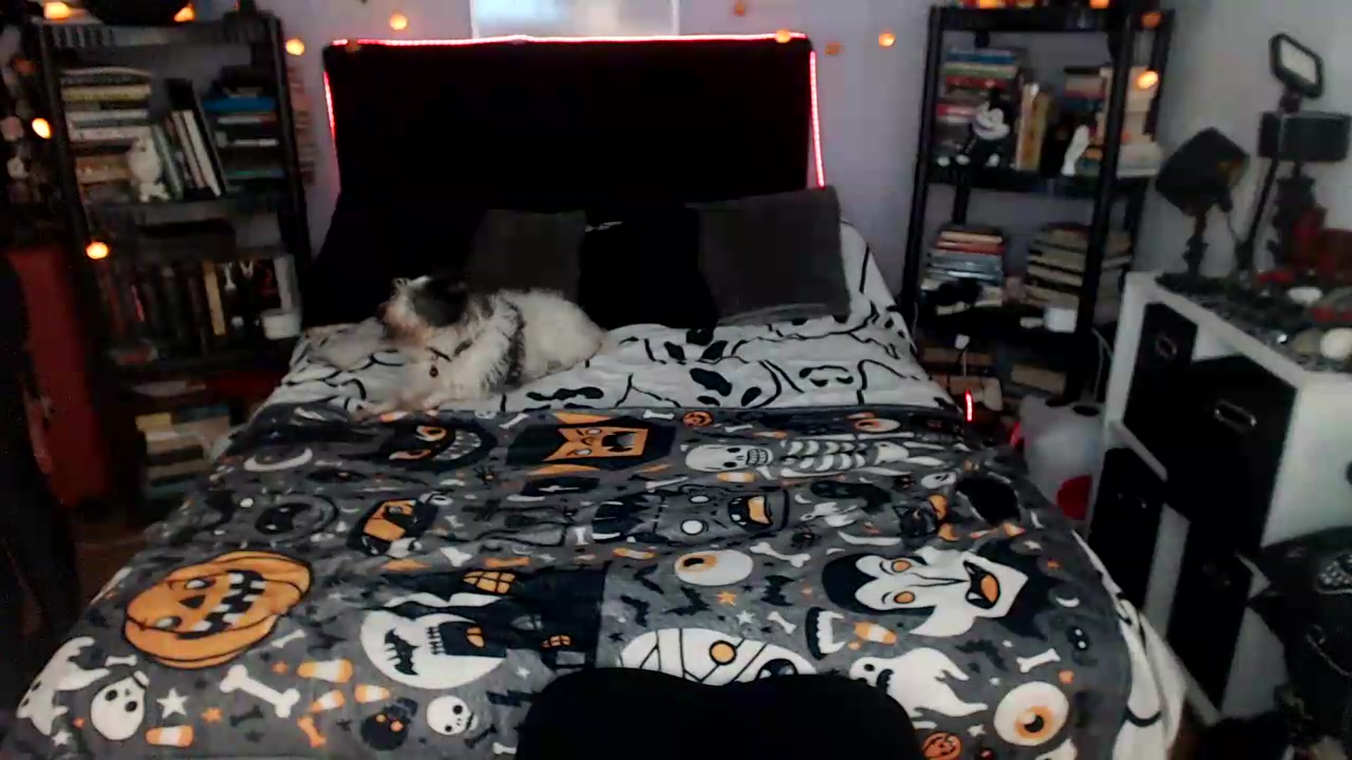 Gallery image thumbnail from AxeHallow's myfreecams stream on, 08/07/2026, 24:03 image 8 of 20