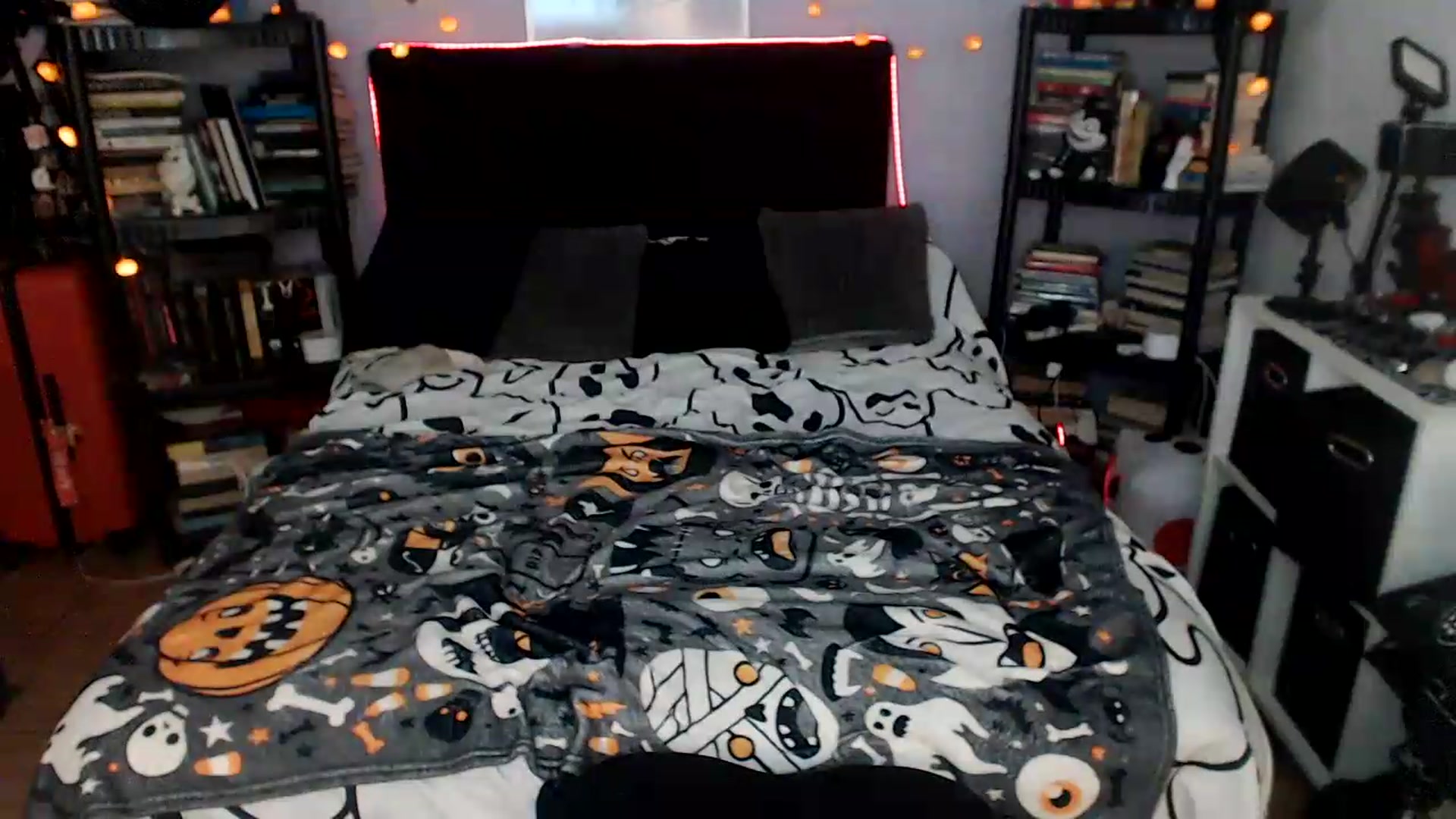 Gallery image thumbnail from AxeHallow's myfreecams stream on, 08/07/2026, 24:03 image 20 of 20