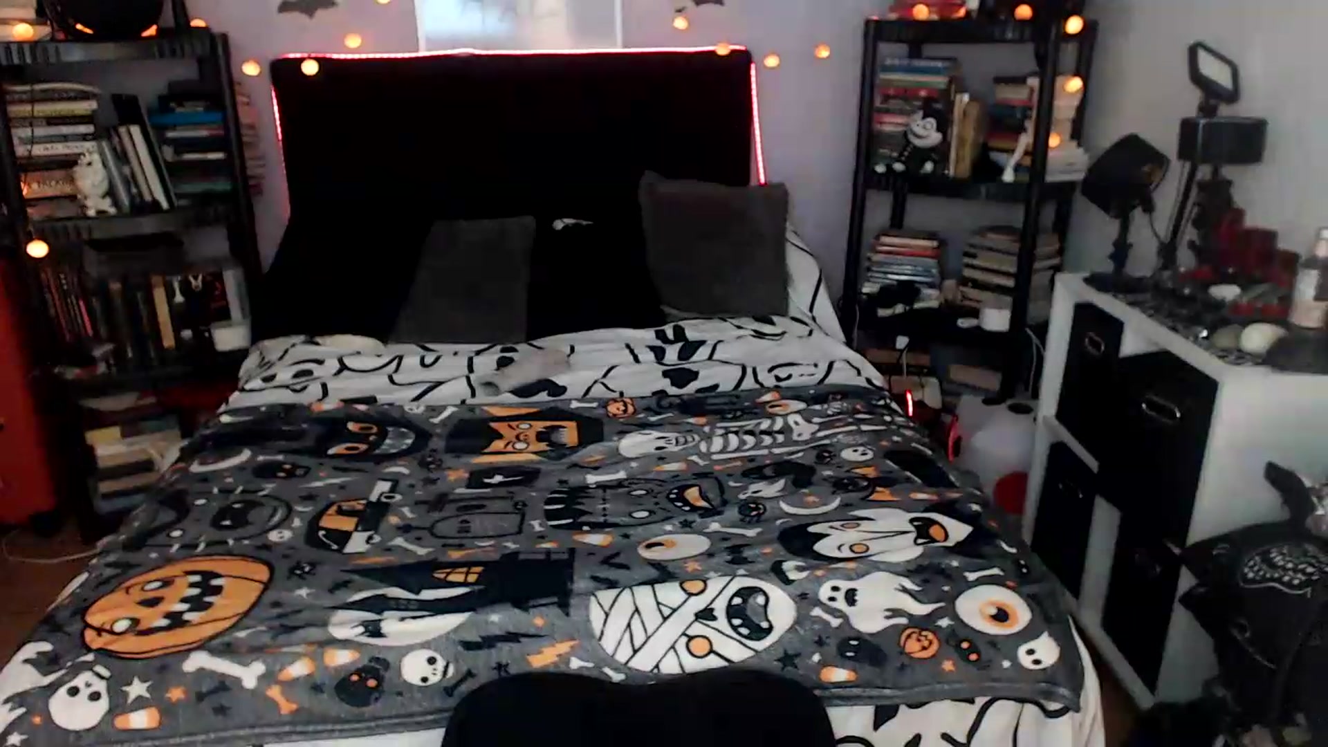 Gallery image thumbnail from AxeHallow's myfreecams stream on, 08/15/2026, 24:00 image 7 of 20