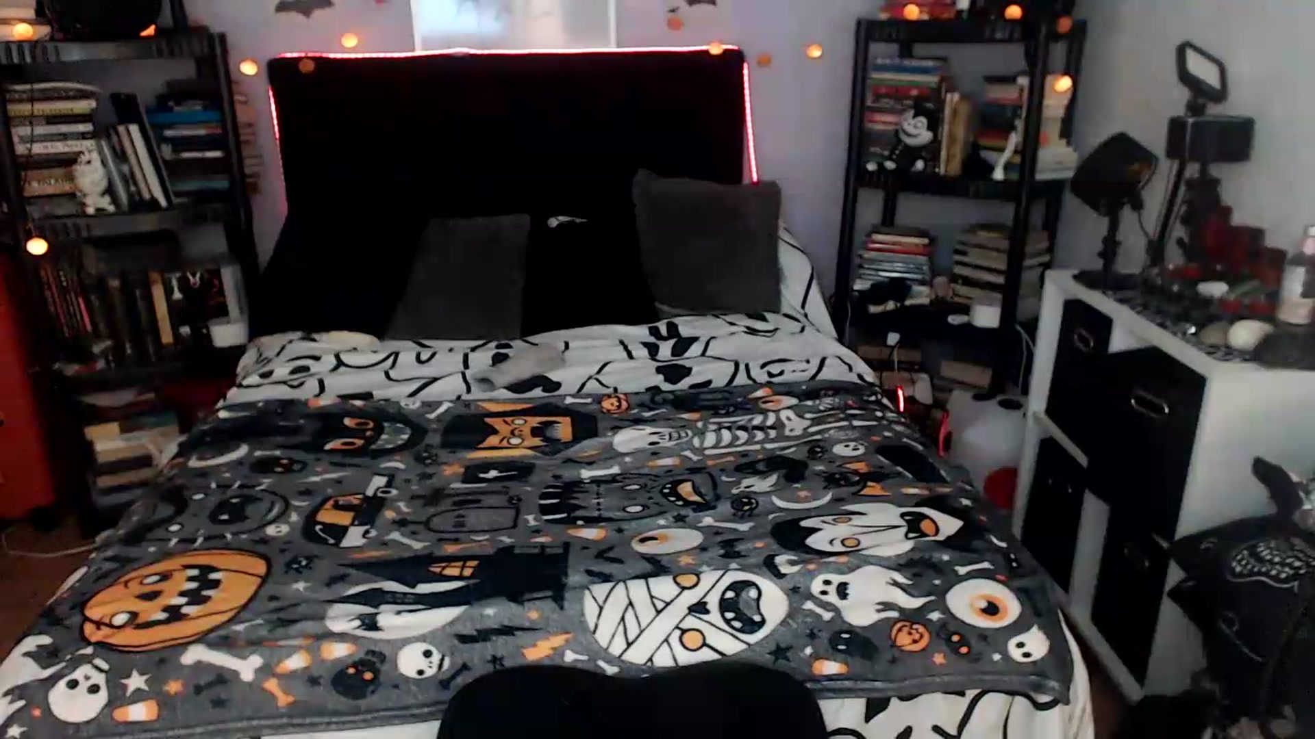 Gallery image thumbnail from AxeHallow's myfreecams stream on, 08/15/2026, 24:00 image 6 of 20