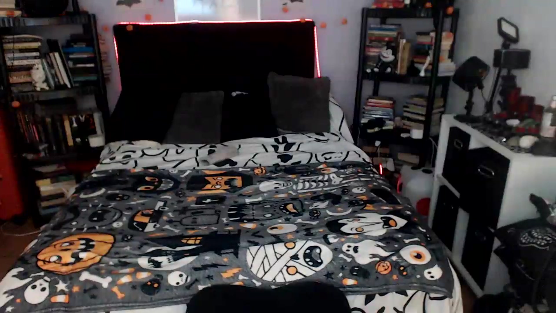 Gallery image thumbnail from AxeHallow's myfreecams stream on, 08/15/2026, 24:00 image 15 of 20