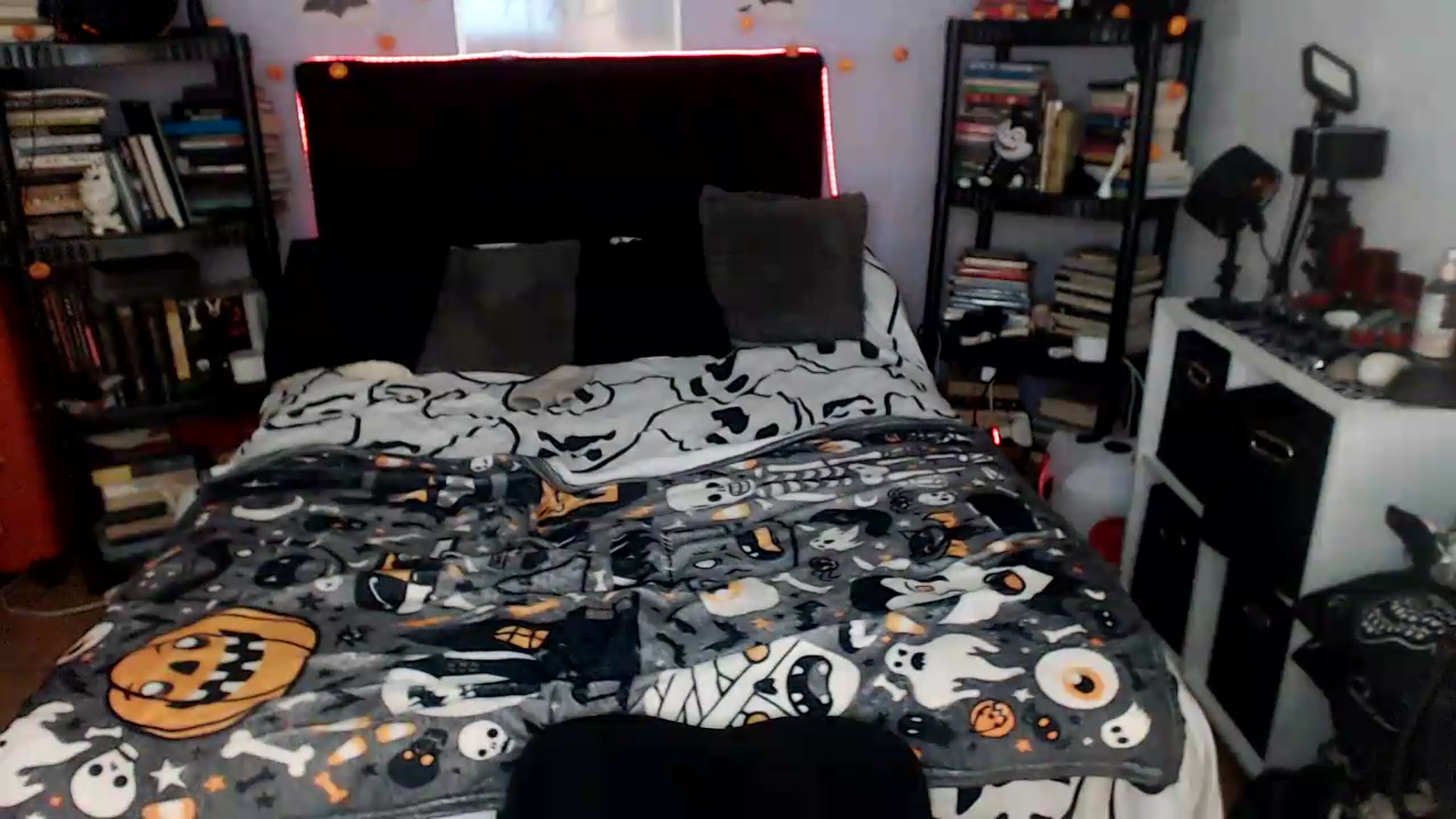 Gallery image thumbnail from AxeHallow's myfreecams stream on, 08/15/2026, 05:09 image 8 of 20