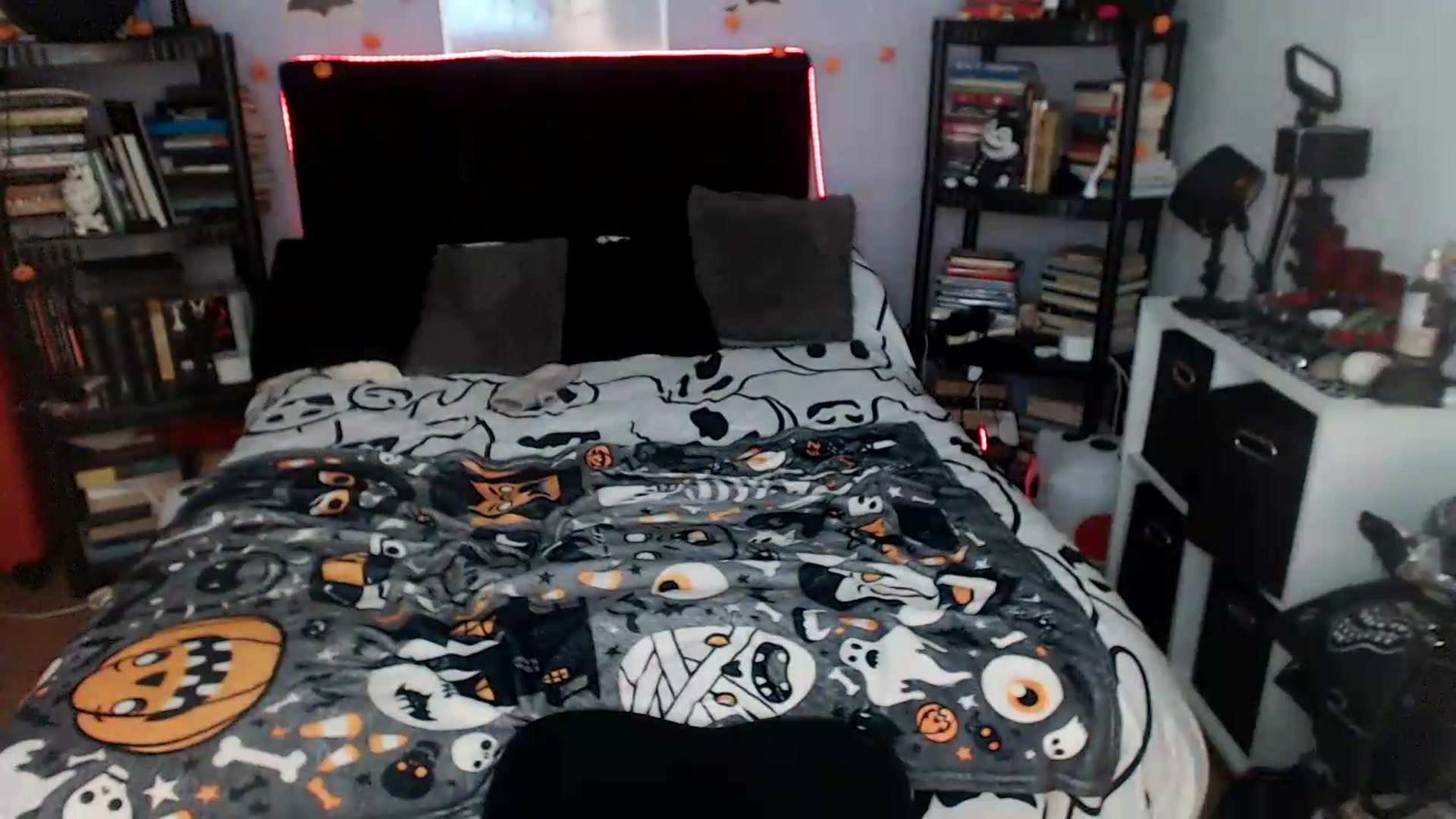 Gallery image thumbnail from AxeHallow's myfreecams stream on, 08/19/2026, 03:37 image 3 of 20