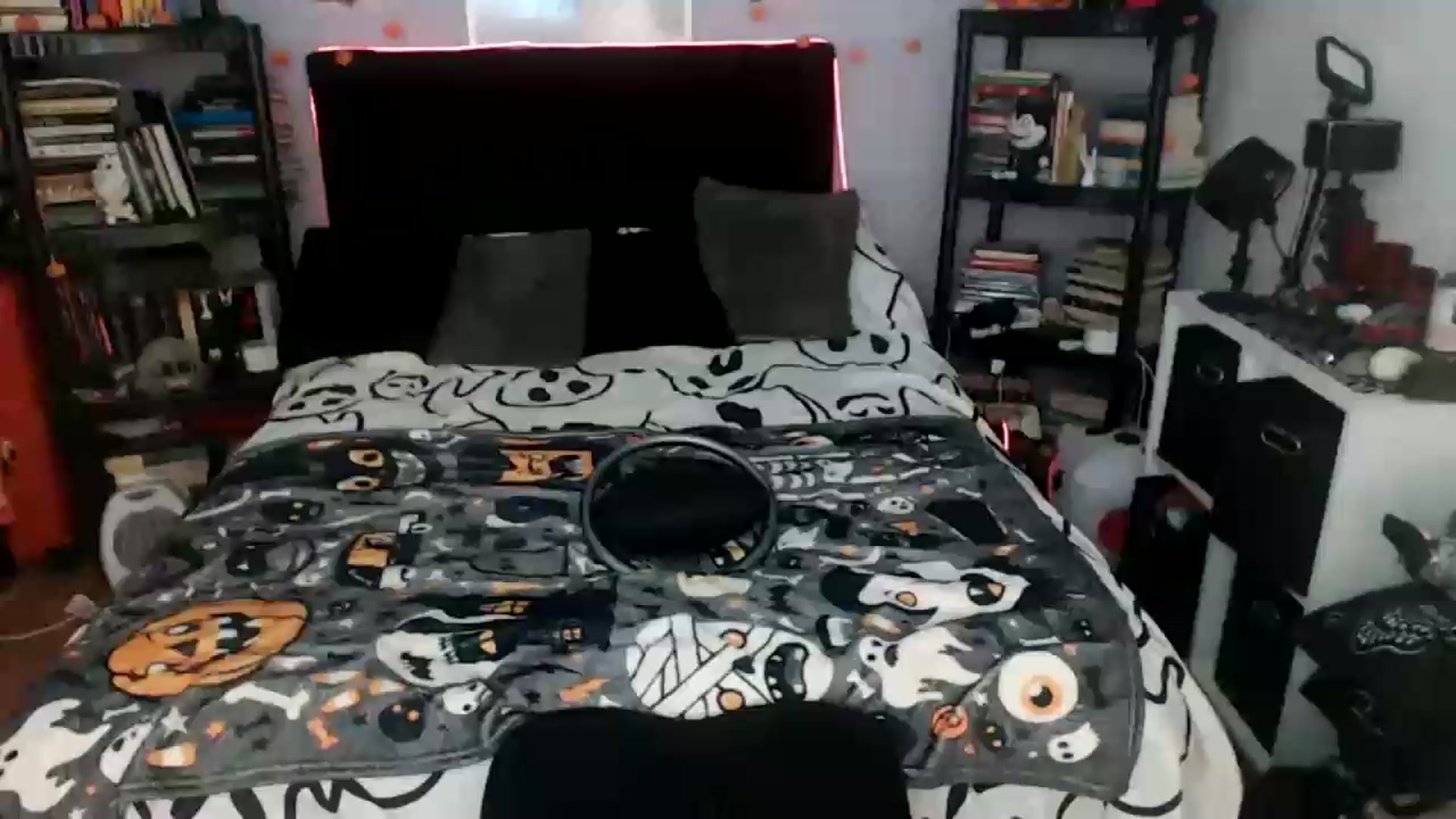 Gallery image thumbnail from AxeHallow's myfreecams stream on, 09/08/2026, 24:16 image 1 of 20