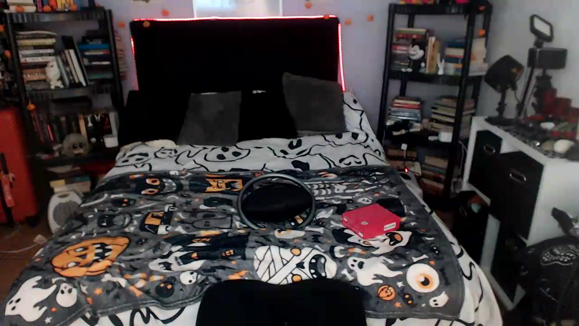 Gallery image thumbnail from AxeHallow's myfreecams stream on, 09/08/2026, 24:16 image 14 of 20