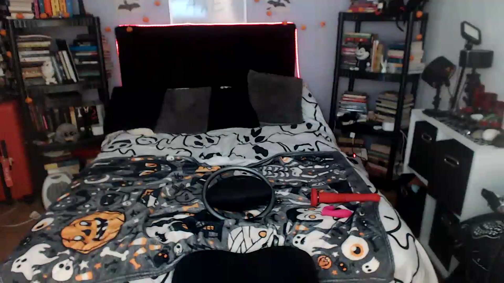 Gallery image thumbnail from AxeHallow's myfreecams stream on, 09/08/2026, 05:47 image 5 of 20