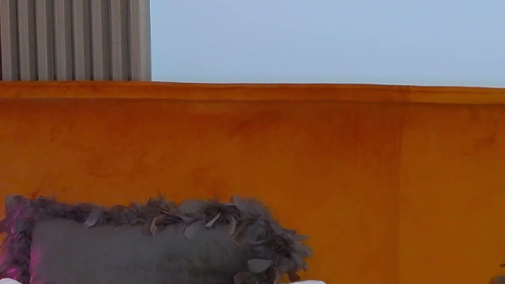 Gallery image thumbnail from Ayana_Grace's myfreecams stream on, 01/24/2024, 05:47 image 13 of 20
