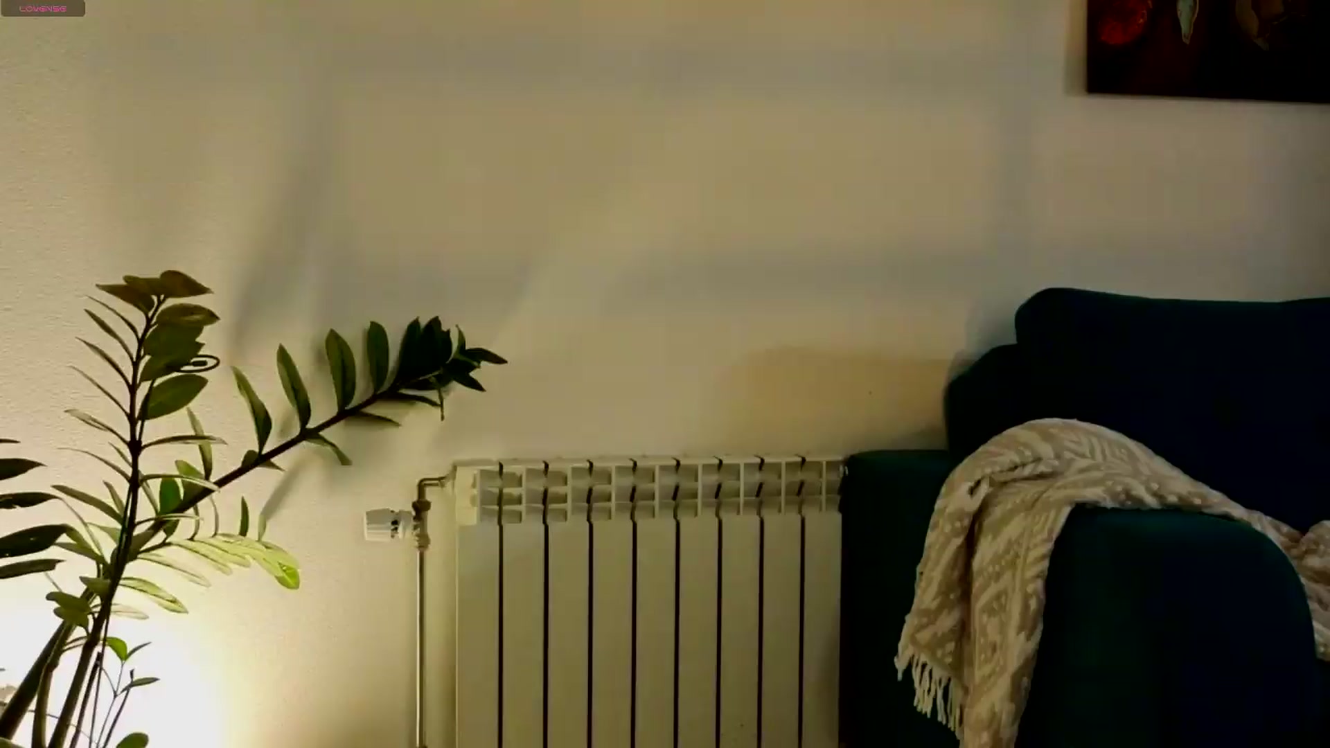 Gallery image thumbnail from Azulafire's myfreecams stream on, 07/17/2026, 21:51 image 15 of 20