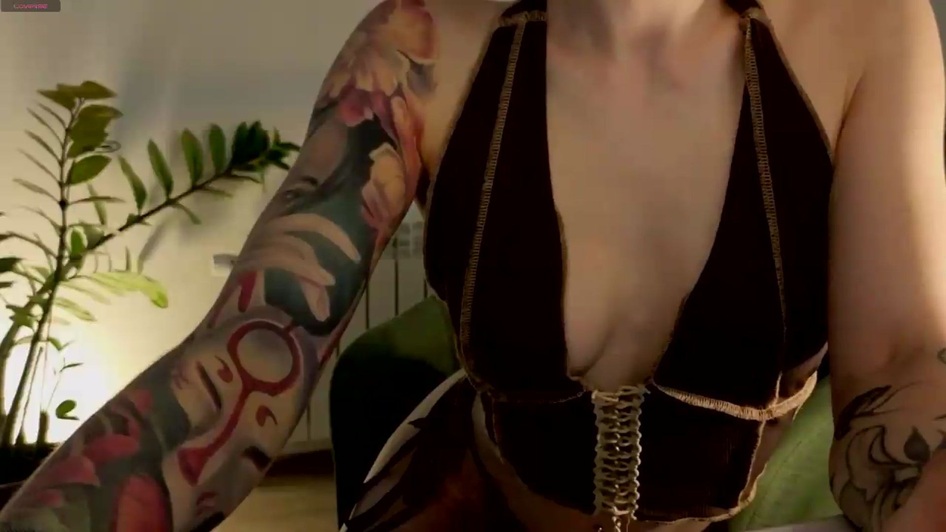 Gallery image thumbnail from Azulafire's myfreecams stream on, 07/18/2026, 01:29 image 15 of 20