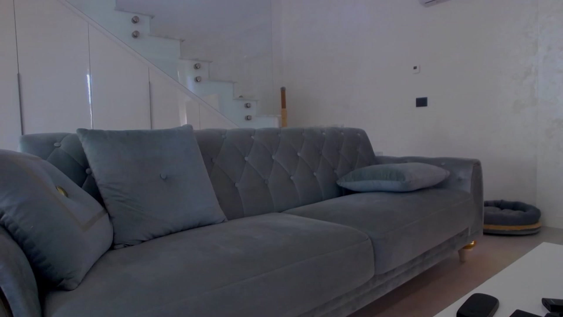 Gallery image thumbnail from BANDITAA's myfreecams stream on, 12/27/2023, 09:09 image 19 of 20
