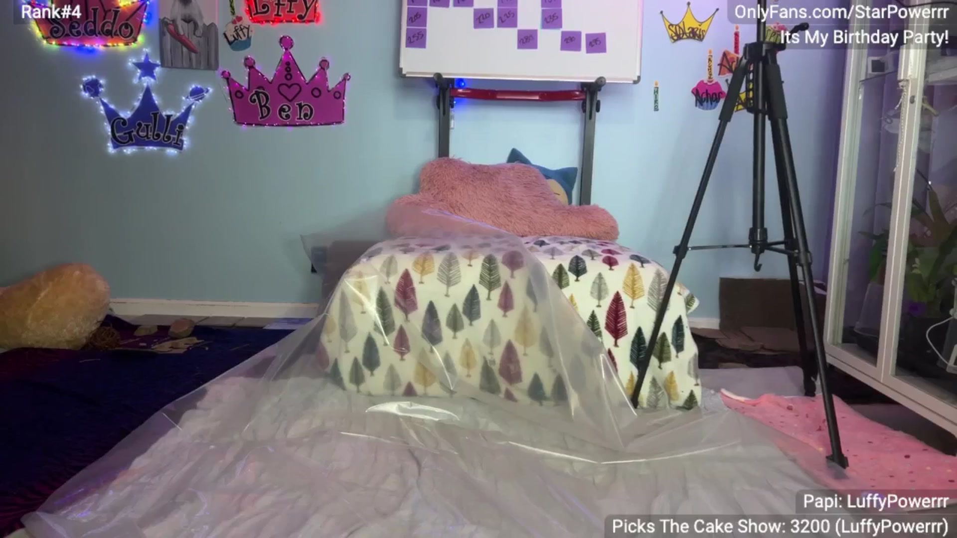 Gallery image thumbnail from BDAYPOWERRR's myfreecams stream on, 11/15/2024, 11:25 image 14 of 20