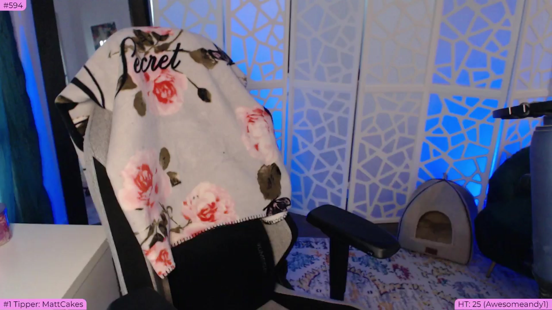 Gallery image thumbnail from BDAYTeecake's myfreecams stream on, 06/25/2024, 03:26 image 1 of 20