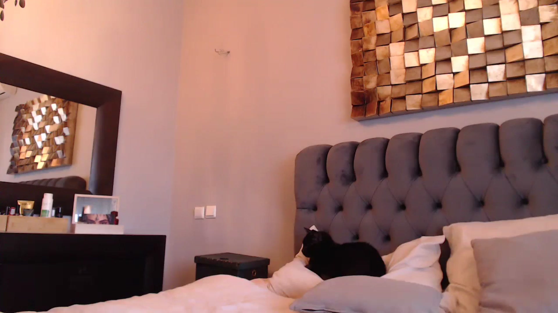 Gallery image thumbnail from BDAY_TODAY's myfreecams stream on, 10/21/2023, 09:10 image 4 of 20
