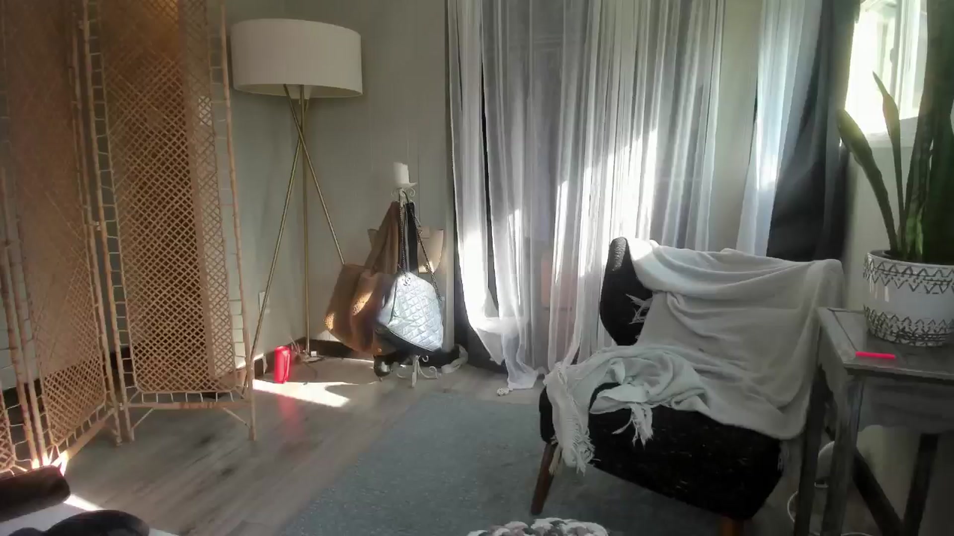 Gallery image thumbnail from BDAY_VICTORIA's myfreecams stream on, 08/22/2024, 18:44 image 1 of 20