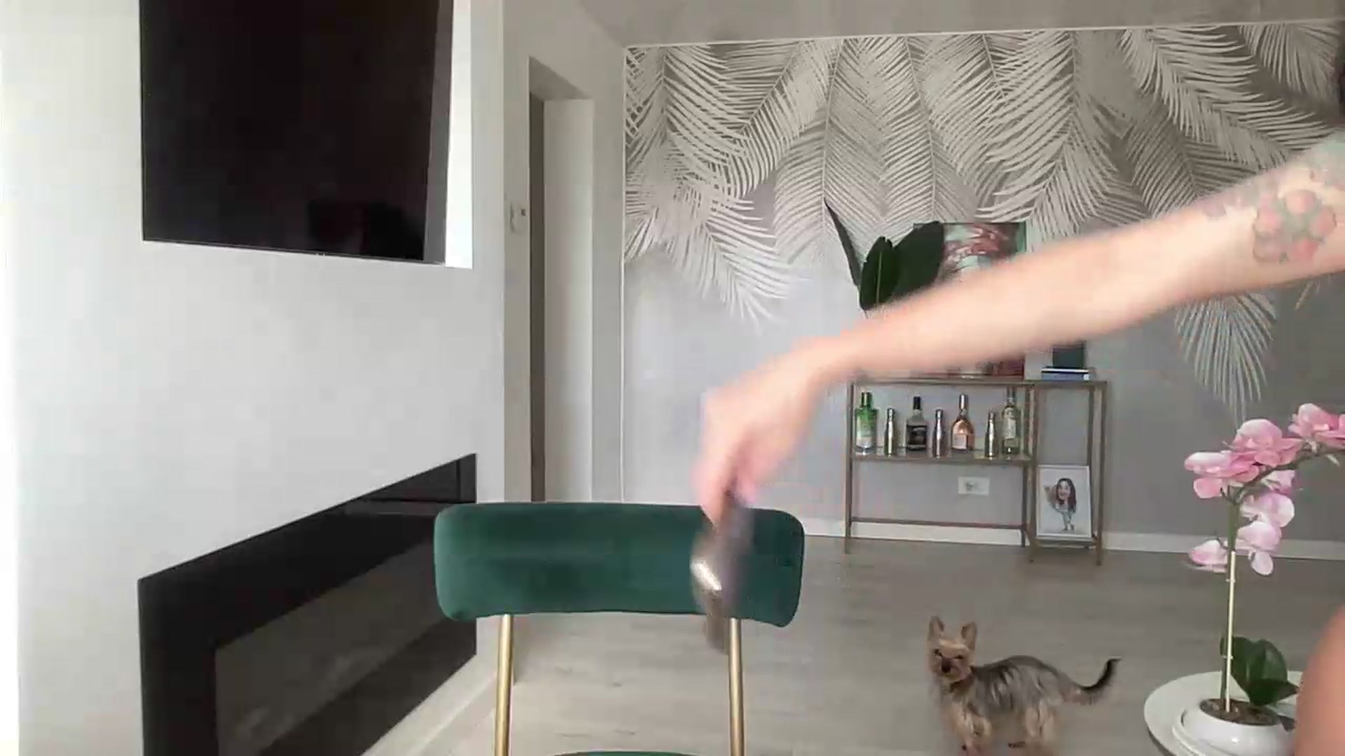 Gallery image thumbnail from BELLADIANA's myfreecams stream on, 07/10/2026, 07:35 image 13 of 20