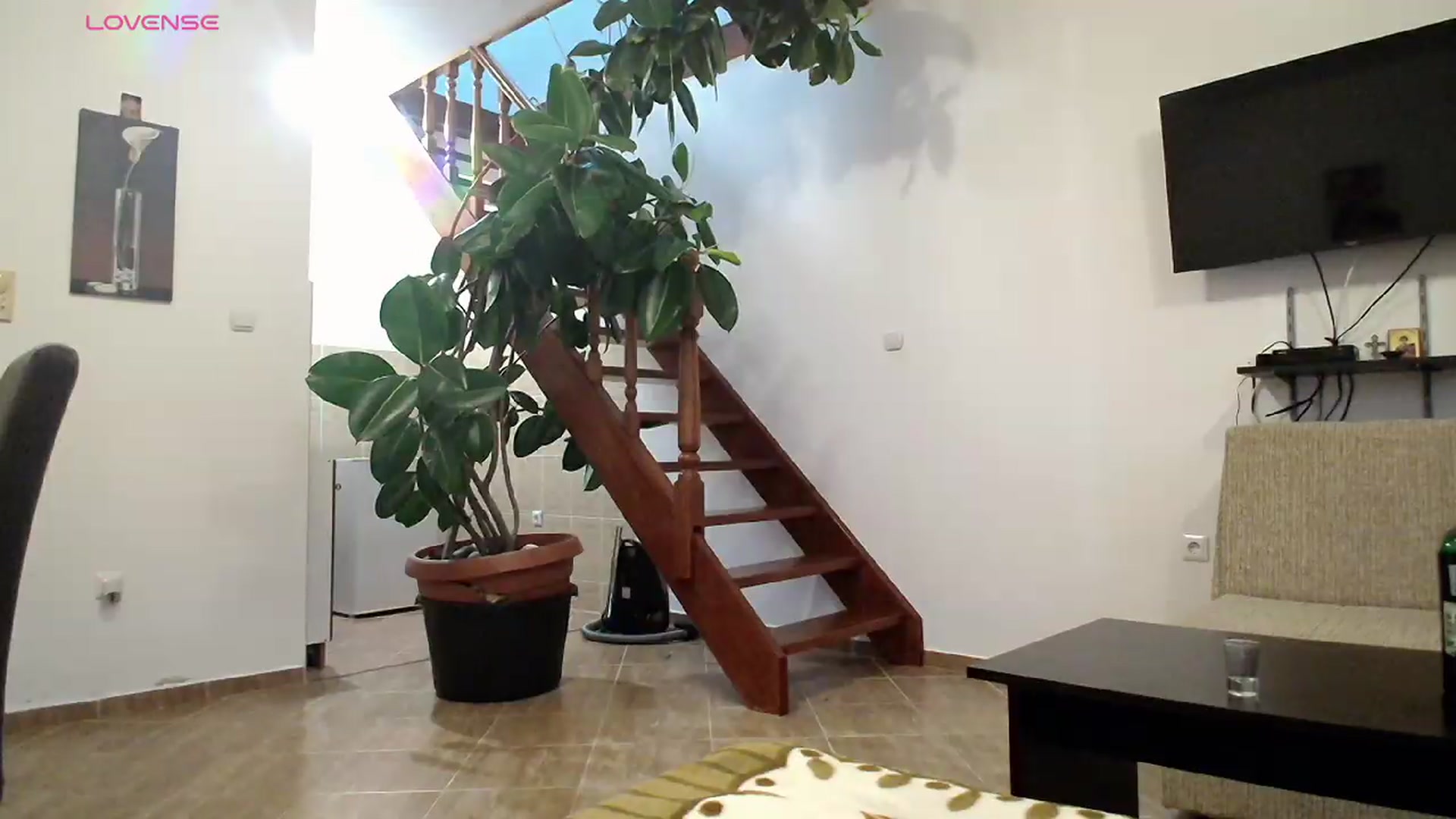 Gallery image thumbnail from BELLA_'s myfreecams stream on, 05/08/2026, 18:33 image 3 of 20