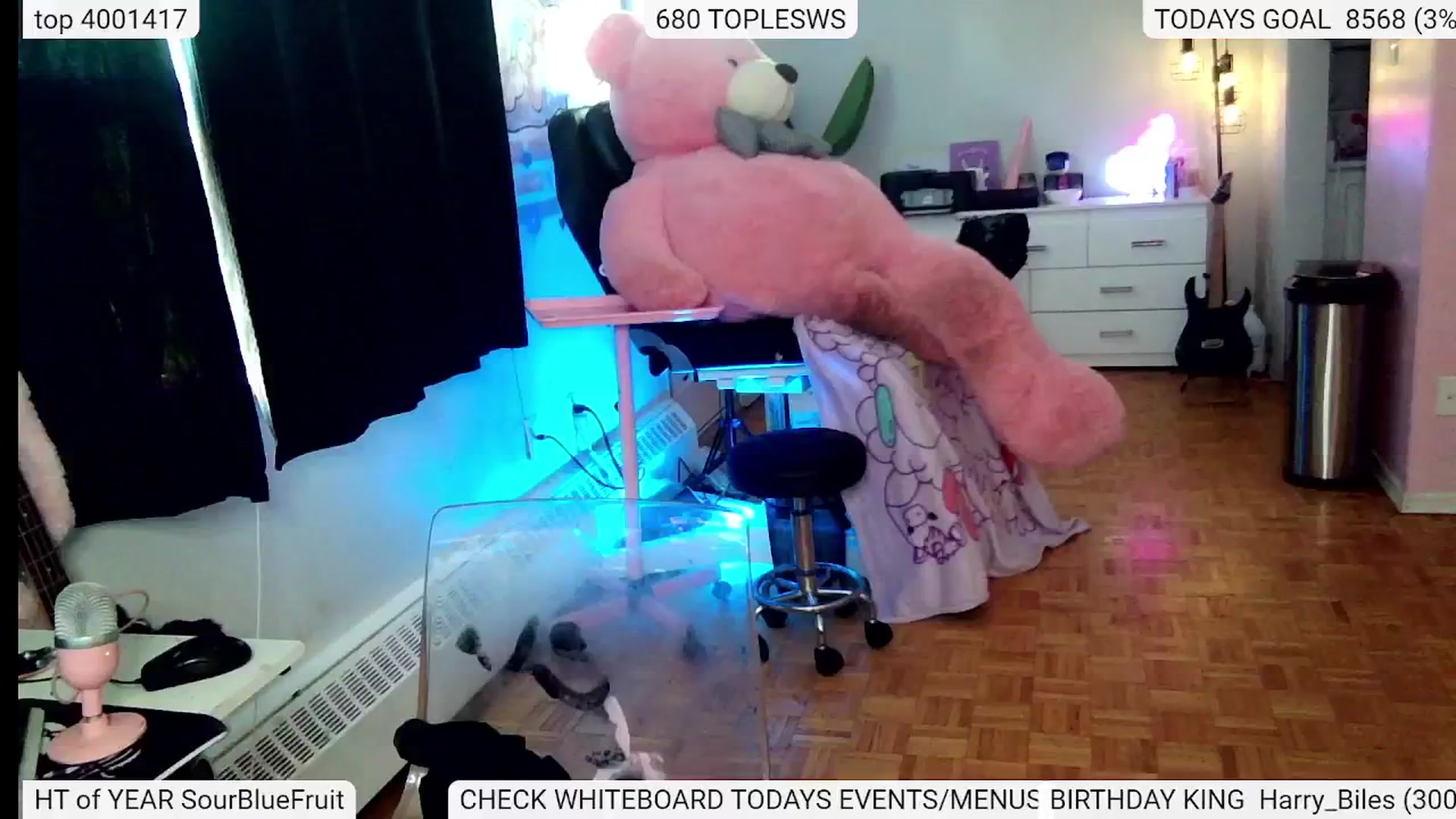 Gallery image thumbnail from BIRTHDAYBAMBI's myfreecams stream on, 07/01/2024, 21:47 image 5 of 20