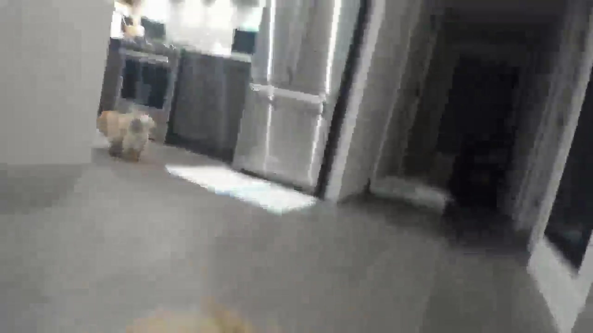 Gallery image thumbnail from BIRTHDAYBOOTS's myfreecams stream on, 04/15/2025, 03:52 image 17 of 20