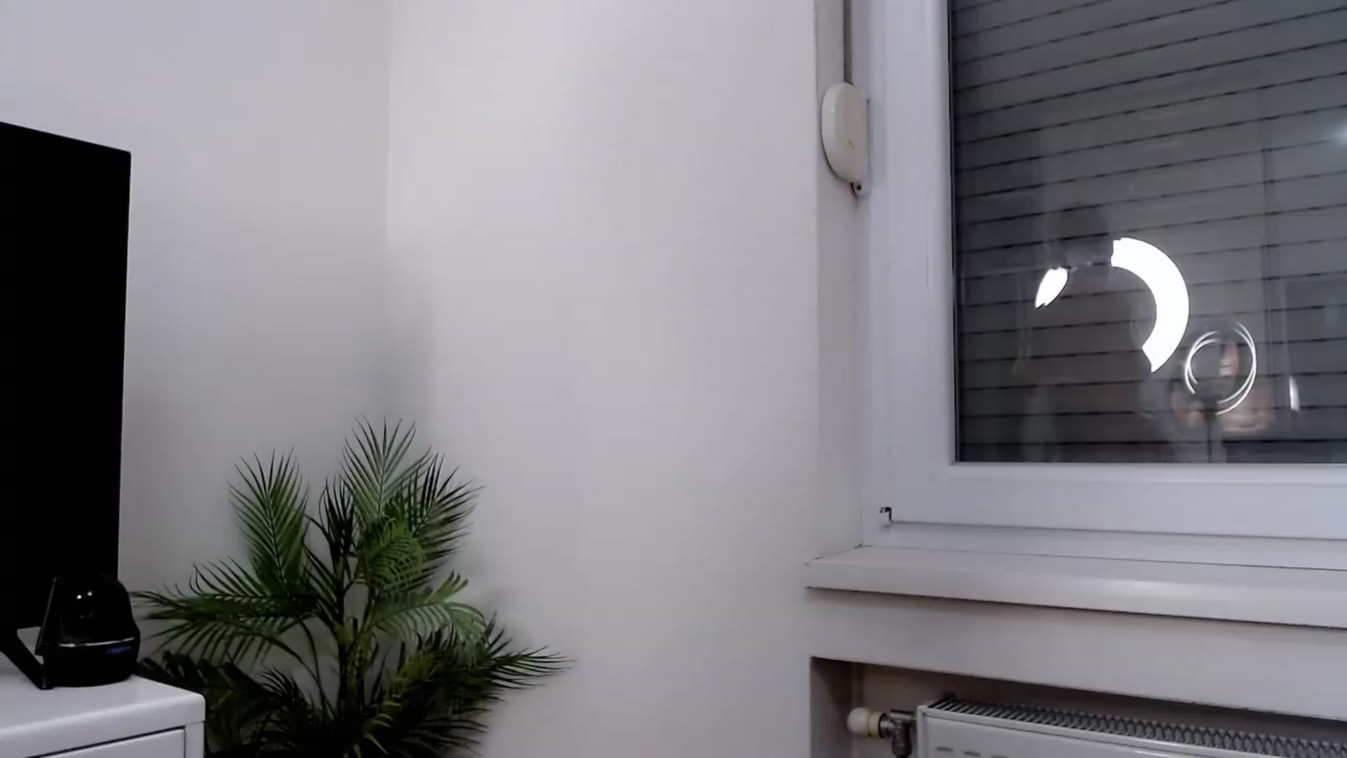 Gallery image thumbnail from BLUE_BIRD__'s myfreecams stream on, 12/26/2023, 18:26 image 9 of 20