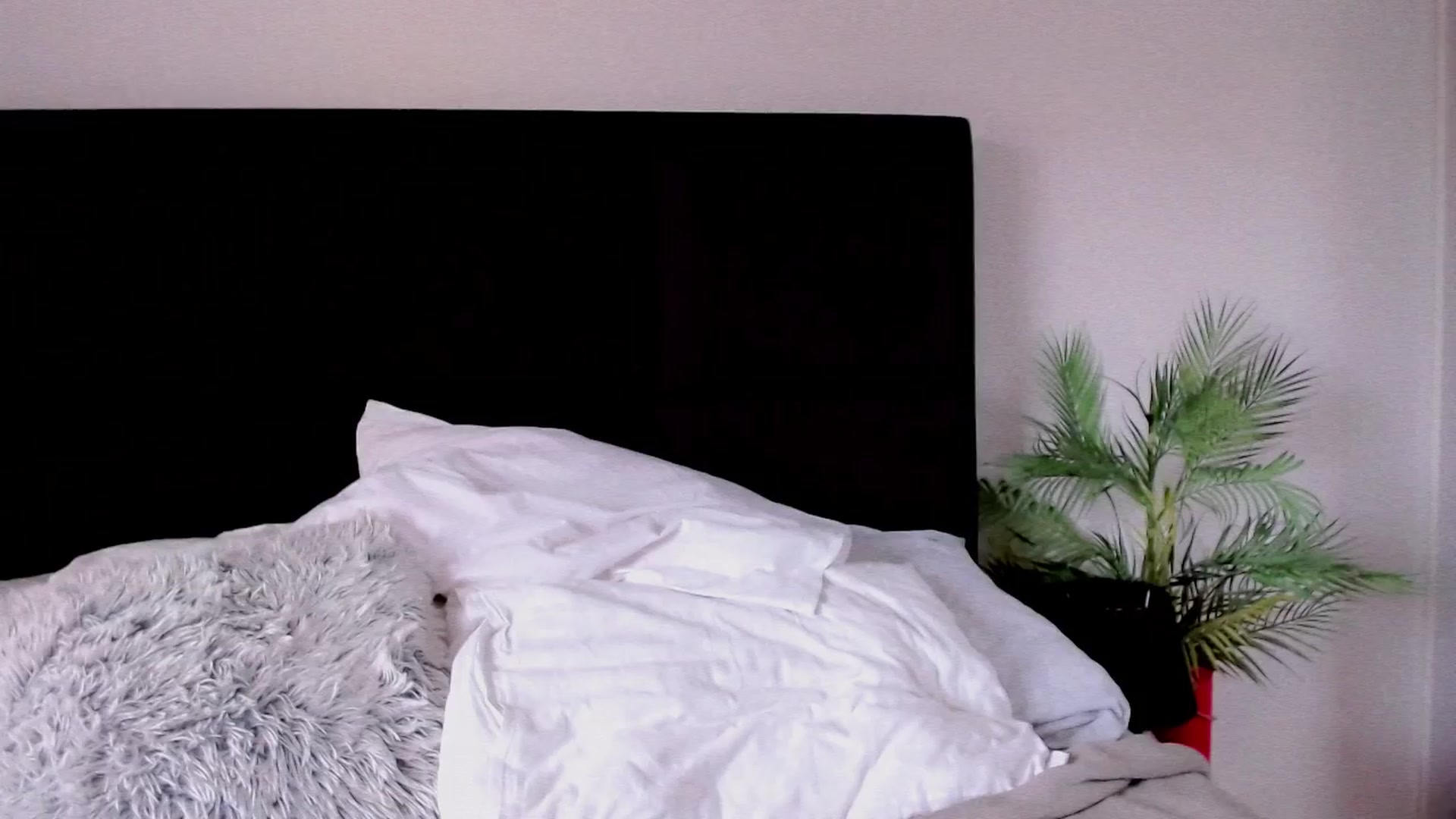 Gallery image thumbnail from B_A_B_Y's myfreecams stream on, 03/28/2024, 15:52 image 14 of 20