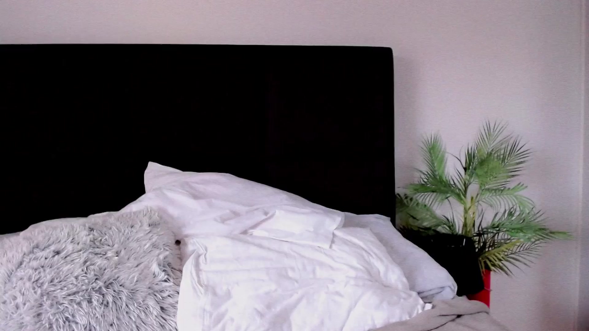 Gallery image thumbnail from B_A_B_Y's myfreecams stream on, 03/28/2024, 15:52 image 13 of 20