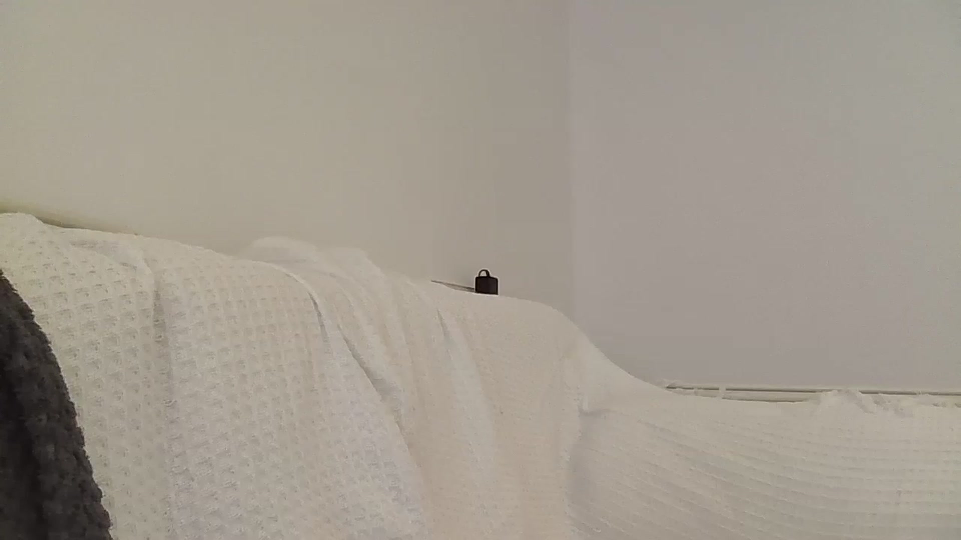 Gallery image thumbnail from B_Rhoades's myfreecams stream on, 07/31/2023, 16:13 image 3 of 20