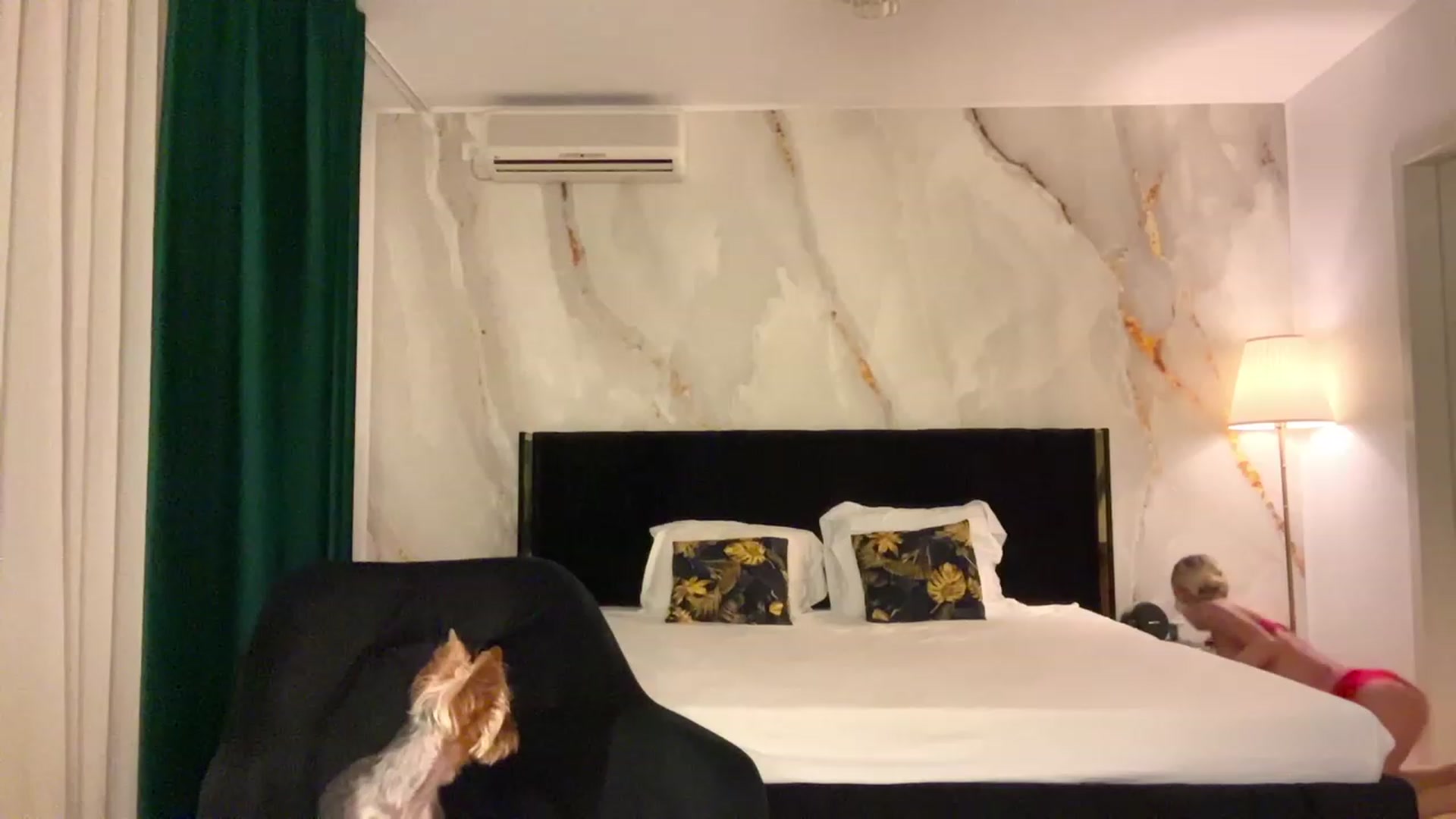 Gallery image thumbnail from BaayBee__'s myfreecams stream on, 09/17/2023, 22:51 image 5 of 20