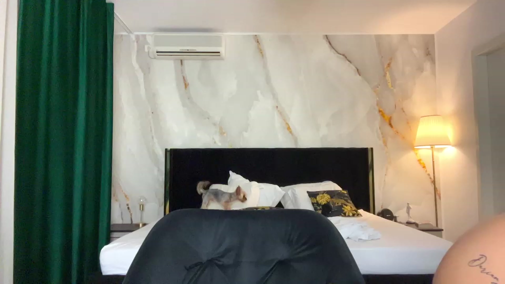 Gallery image thumbnail from BaayBee__'s myfreecams stream on, 09/18/2023, 21:55 image 3 of 20