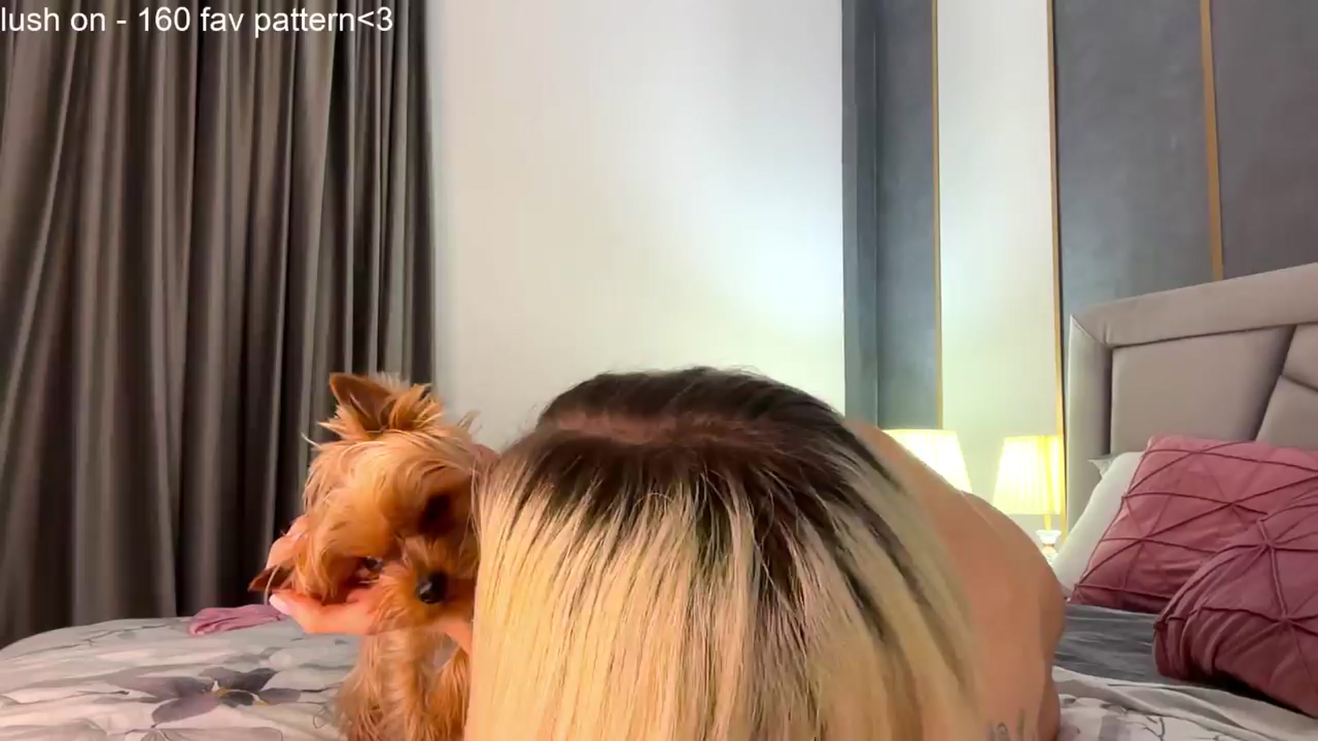 Gallery image thumbnail from BaayBee__'s myfreecams stream on, 04/08/2024, 01:48 image 13 of 20