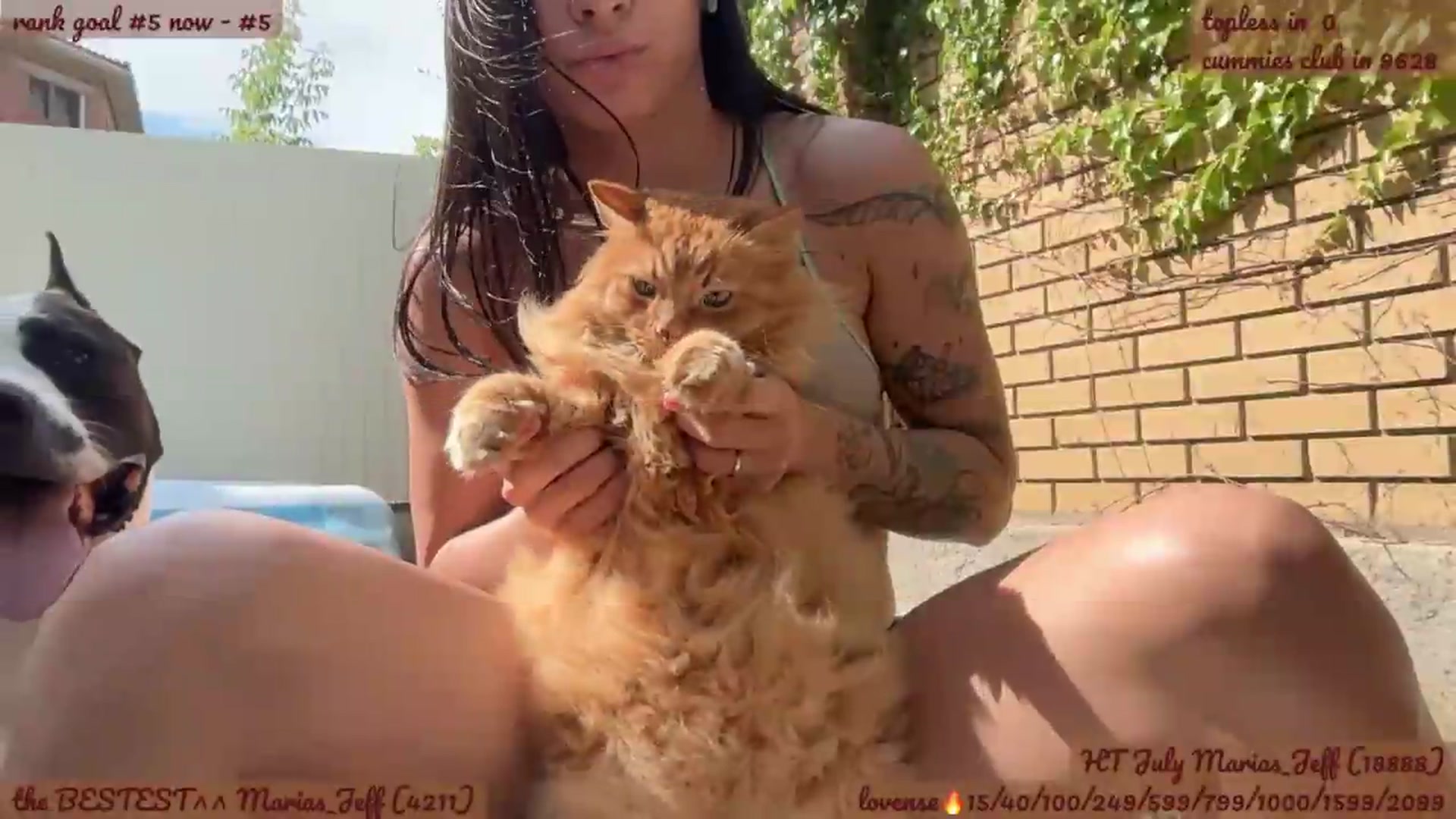 Gallery image thumbnail from BabaYaga___'s myfreecams stream on, 07/04/2026, 13:30 image 13 of 20