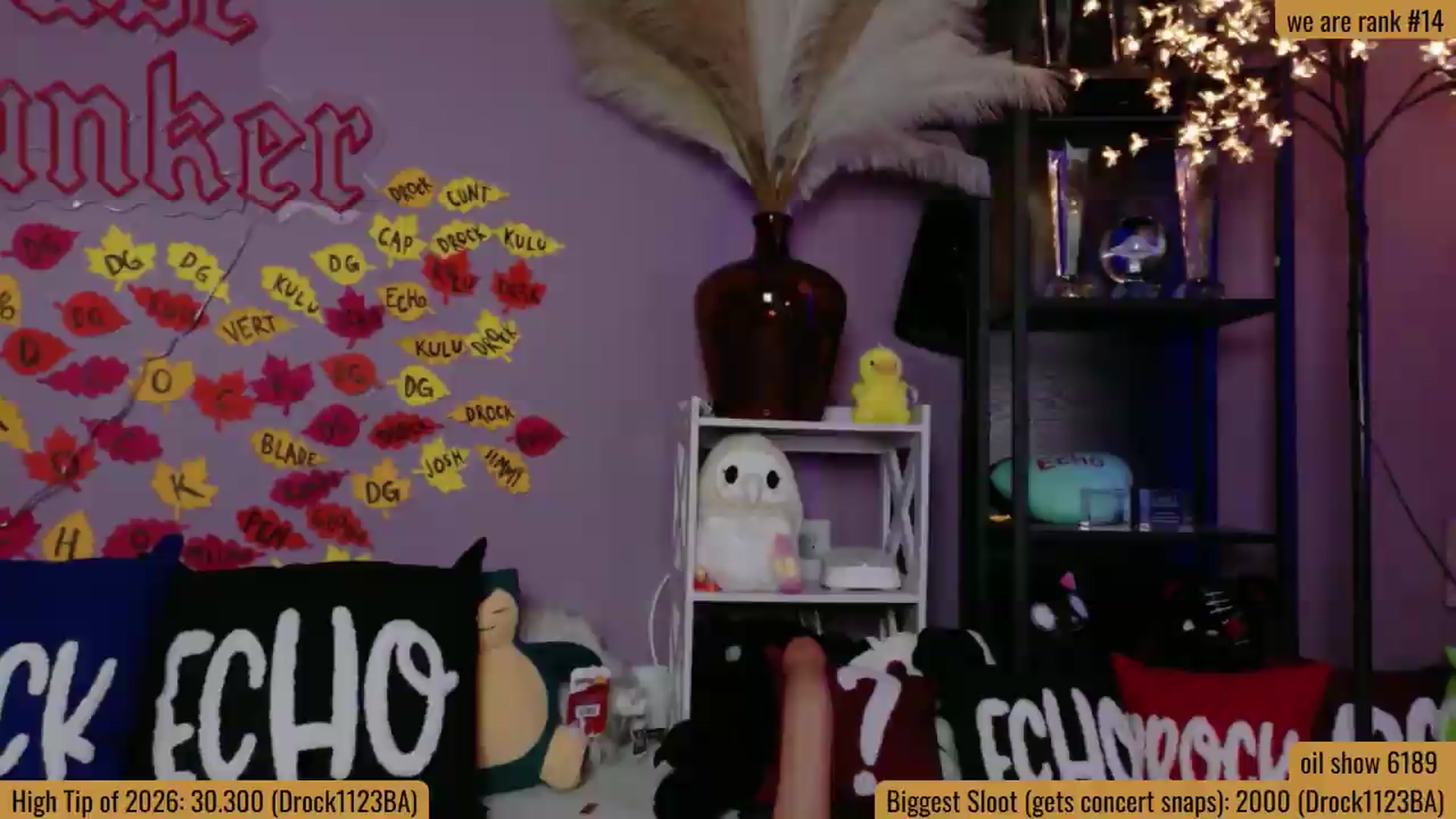 Gallery image thumbnail from BabeAriel's myfreecams stream on, 09/10/2026, 03:05 image 13 of 20