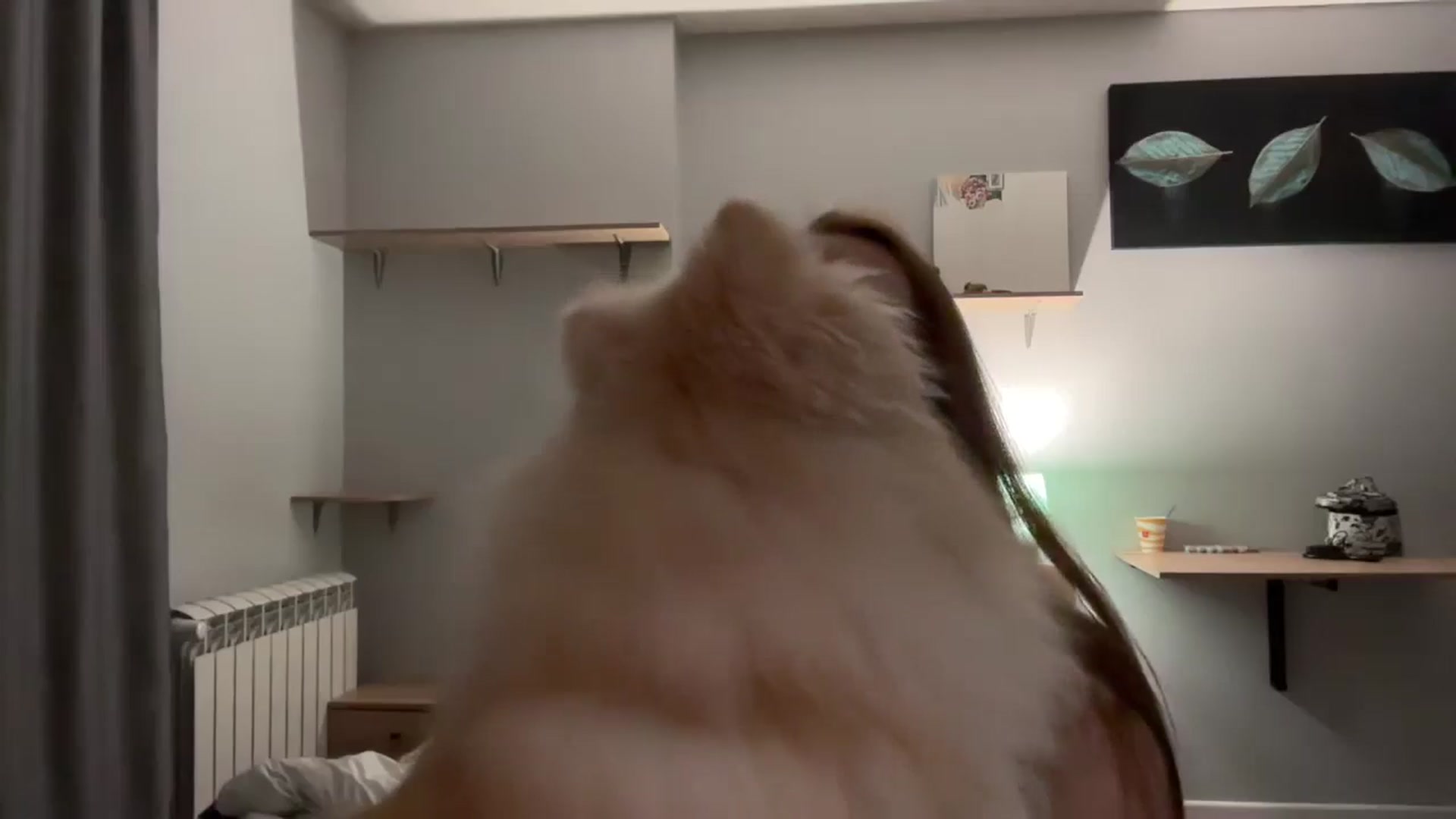 Gallery image thumbnail from BabeRosie's myfreecams stream on, 03/16/2025, 21:13 image 8 of 20