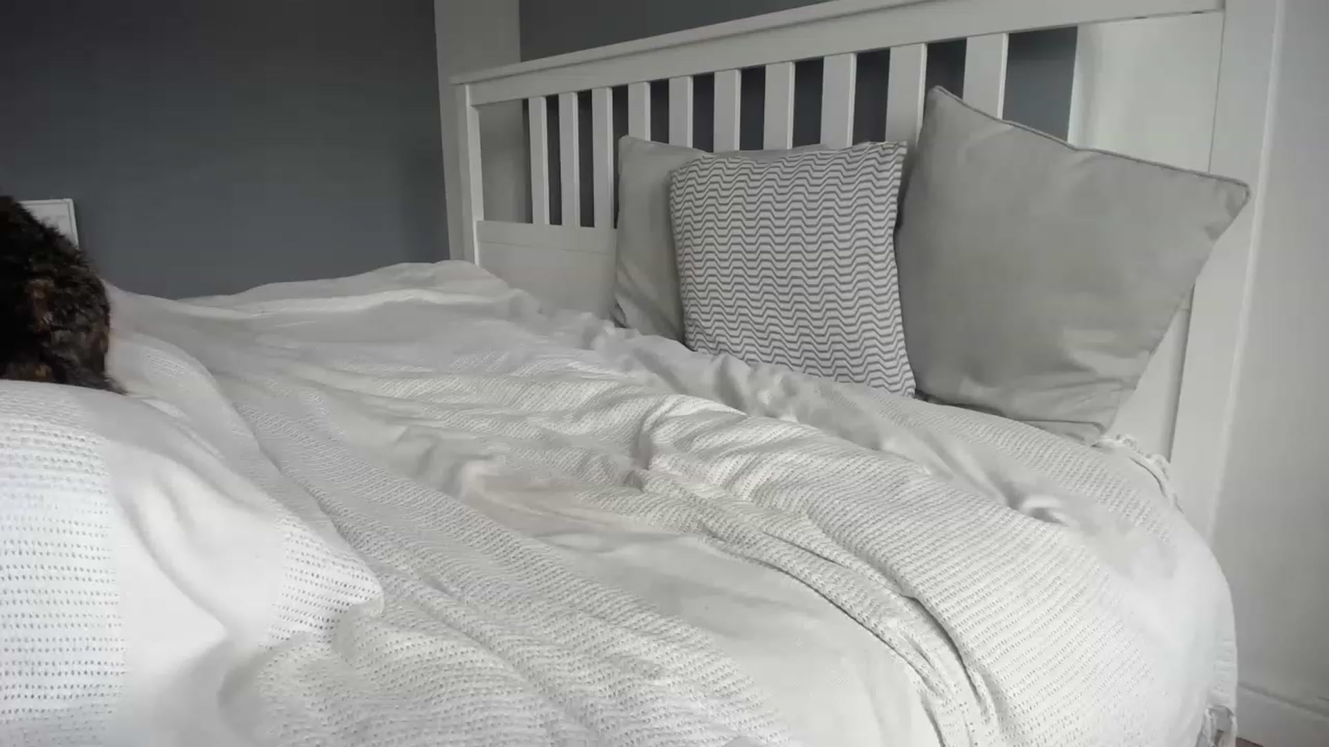 Gallery image thumbnail from BabeXX69XX's myfreecams stream on, 03/16/2023, 12:22 image 15 of 20
