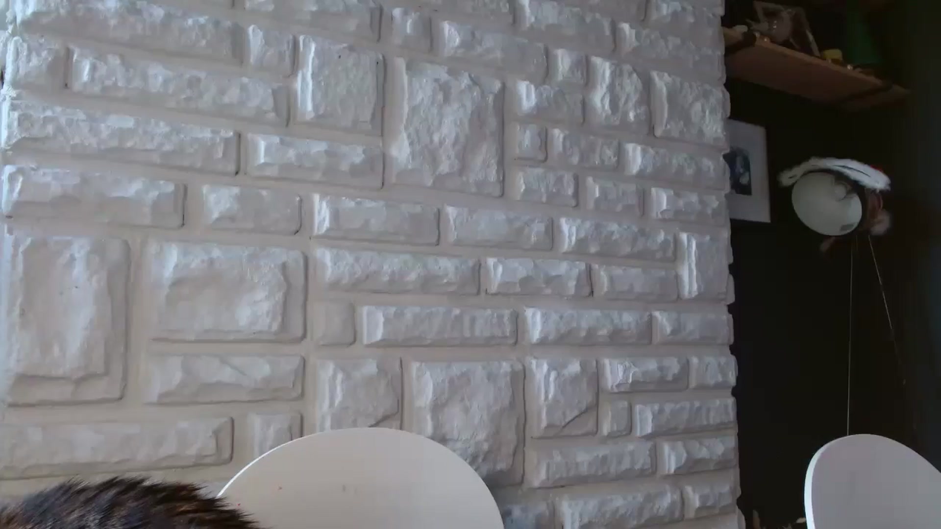 Gallery image thumbnail from BabeXX69XX's myfreecams stream on, 12/31/2025, 10:31 image 12 of 20
