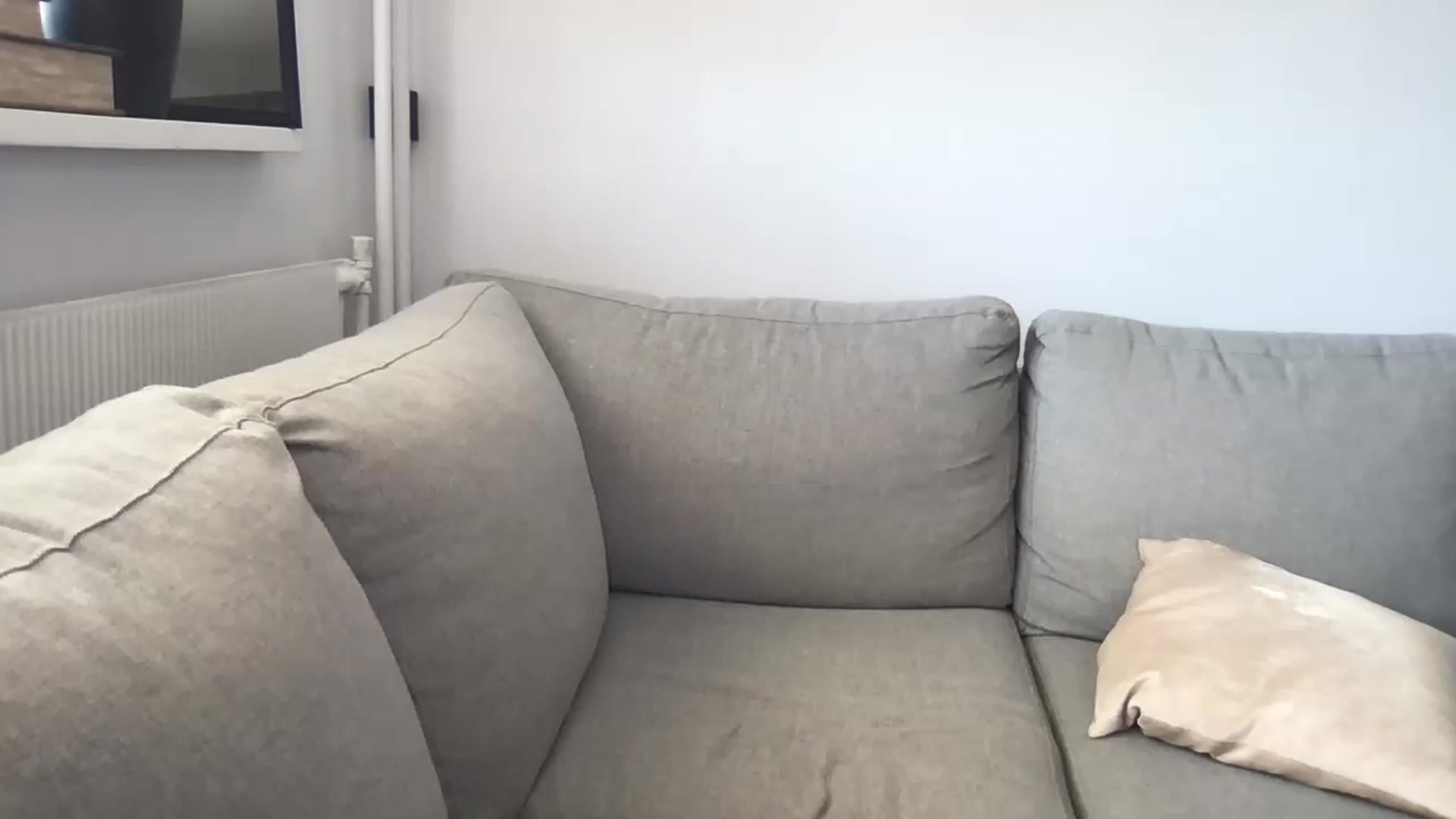 Gallery image thumbnail from Babebusiness's myfreecams stream on, 05/20/2023, 15:02 image 17 of 20
