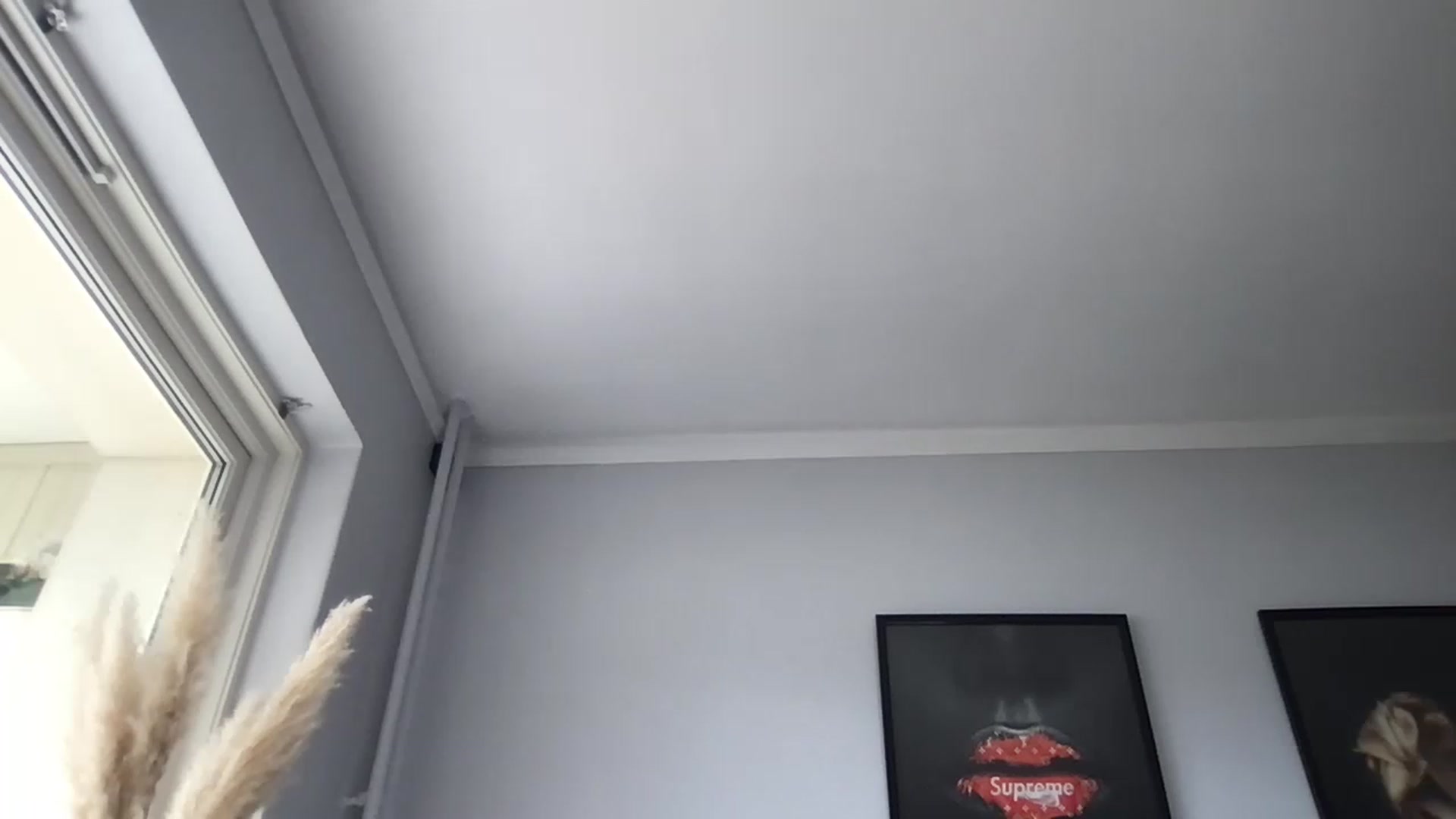 Gallery image thumbnail from Babebusiness's myfreecams stream on, 05/22/2023, 16:35 image 8 of 20
