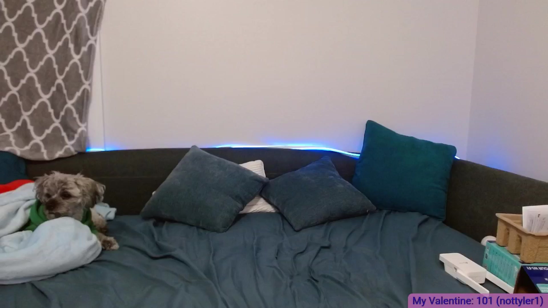 Gallery image thumbnail from BabesHouse's myfreecams stream on, 02/17/2025, 03:17 image 19 of 20