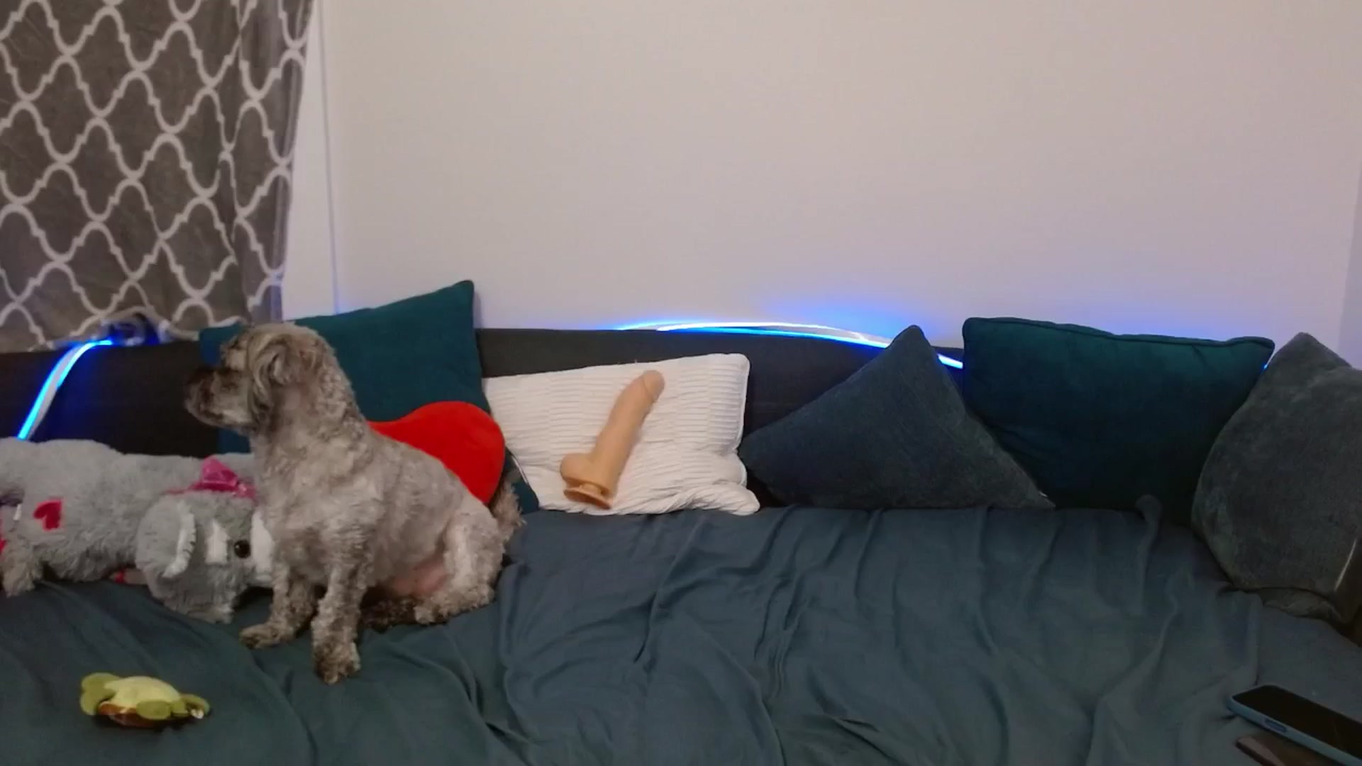 Gallery image thumbnail from BabesHouse's myfreecams stream on, 02/22/2025, 01:44 image 2 of 20
