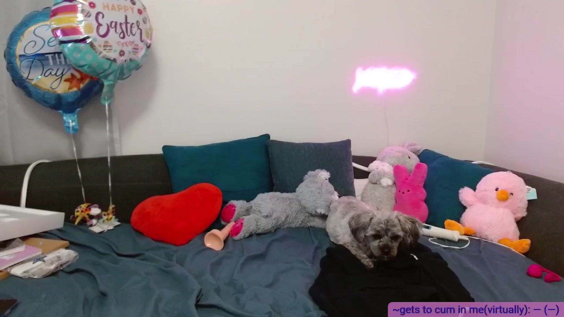 Gallery image thumbnail from BabesHouse's myfreecams stream on, 05/02/2025, 04:37 image 8 of 20