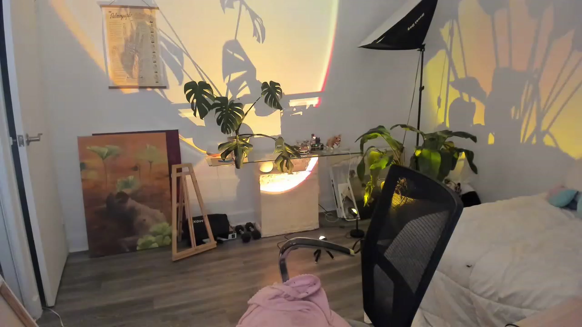 Gallery image thumbnail from BabieLee's myfreecams stream on, 02/05/2023, 07:53 image 8 of 20