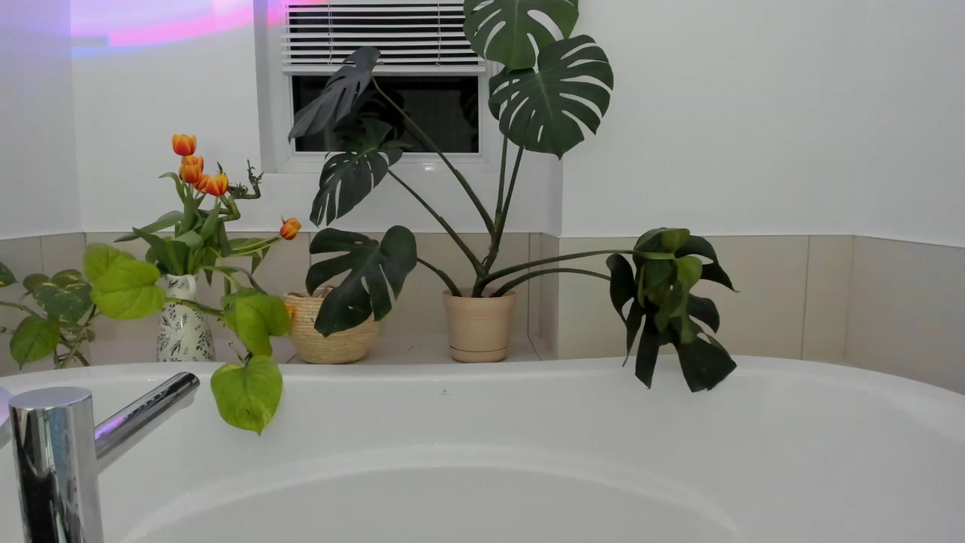 Gallery image thumbnail from BabieLee's myfreecams stream on, 05/29/2023, 03:51 image 17 of 20