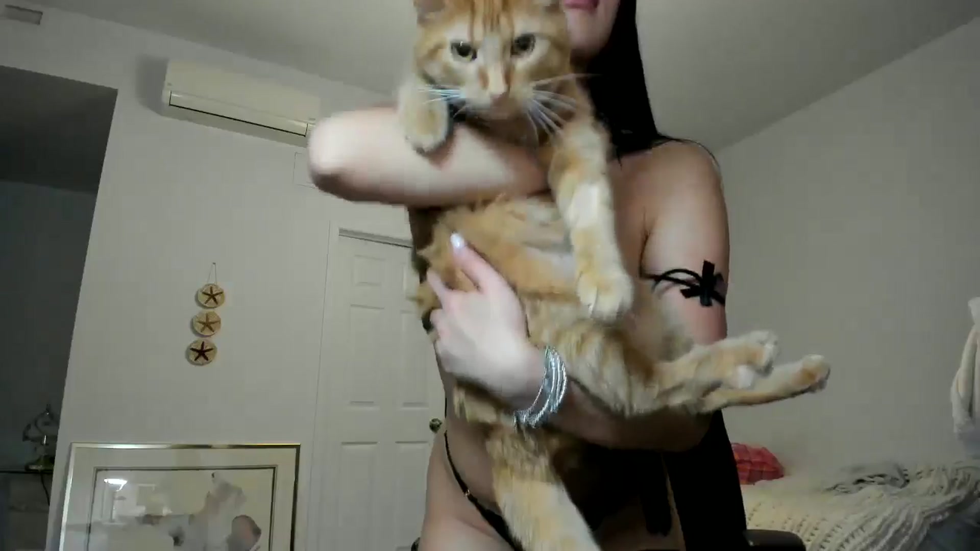 Gallery image thumbnail from BabieLee's myfreecams stream on, 05/28/2024, 06:15 image 13 of 20